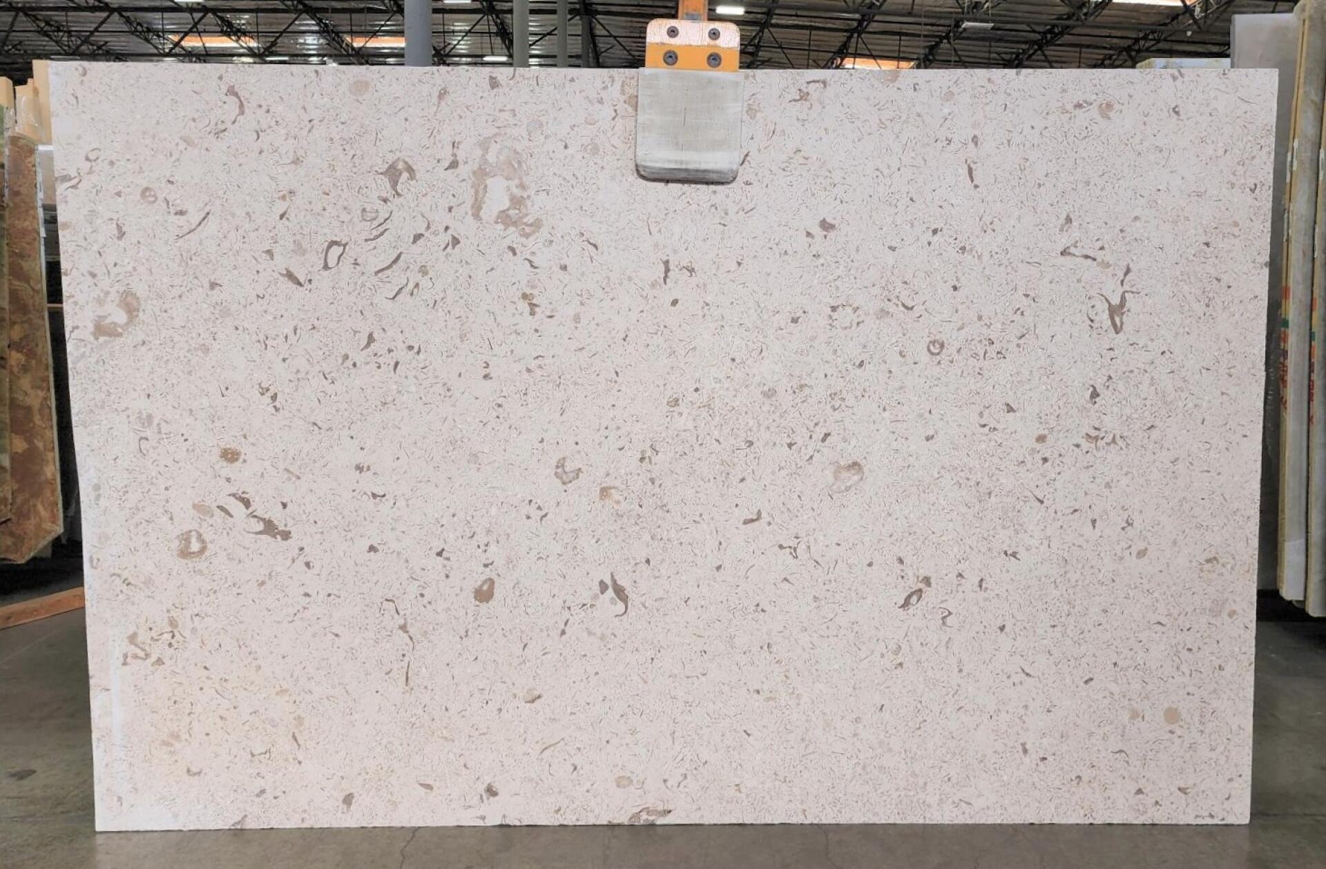 Fossil Limestone Dual Finish Honed/Leather 2cm Slab