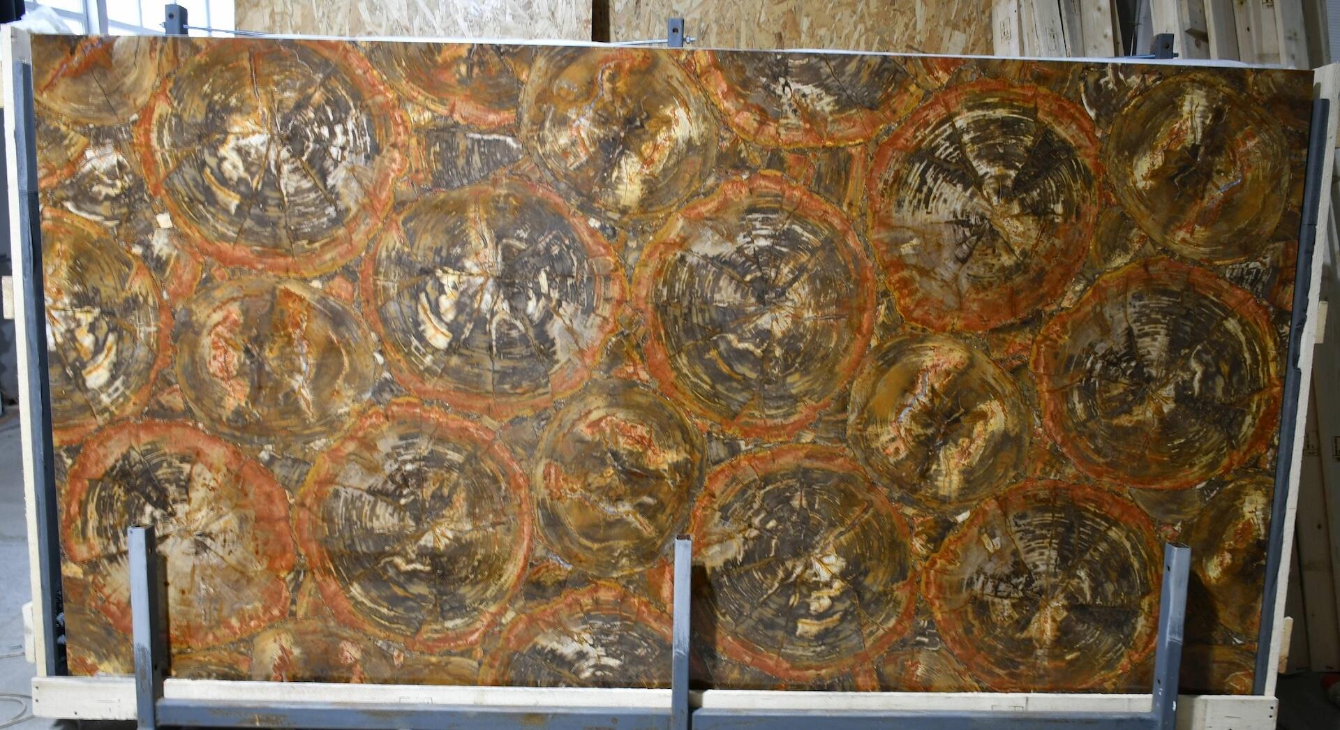 Beige-Red Petrified Wood 2cm Slab