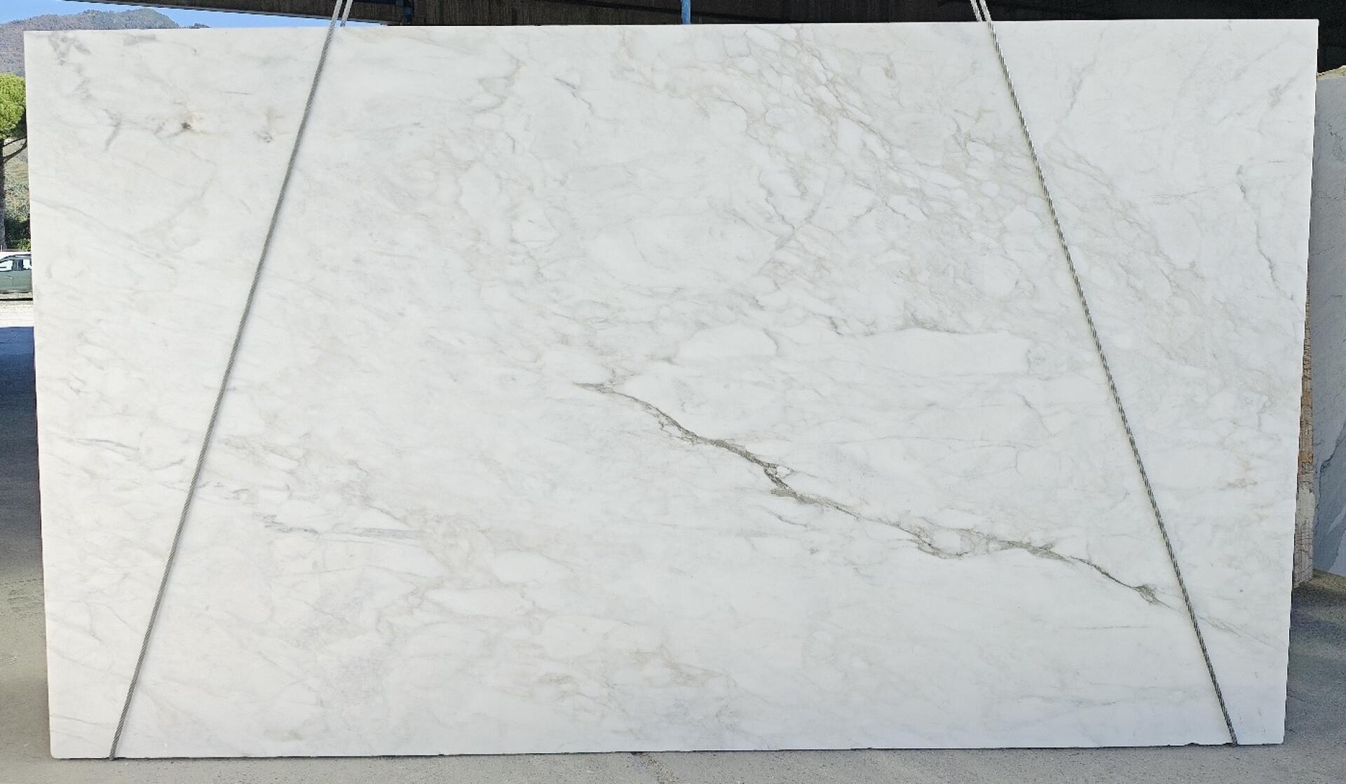 Calacatta Caldia Slab