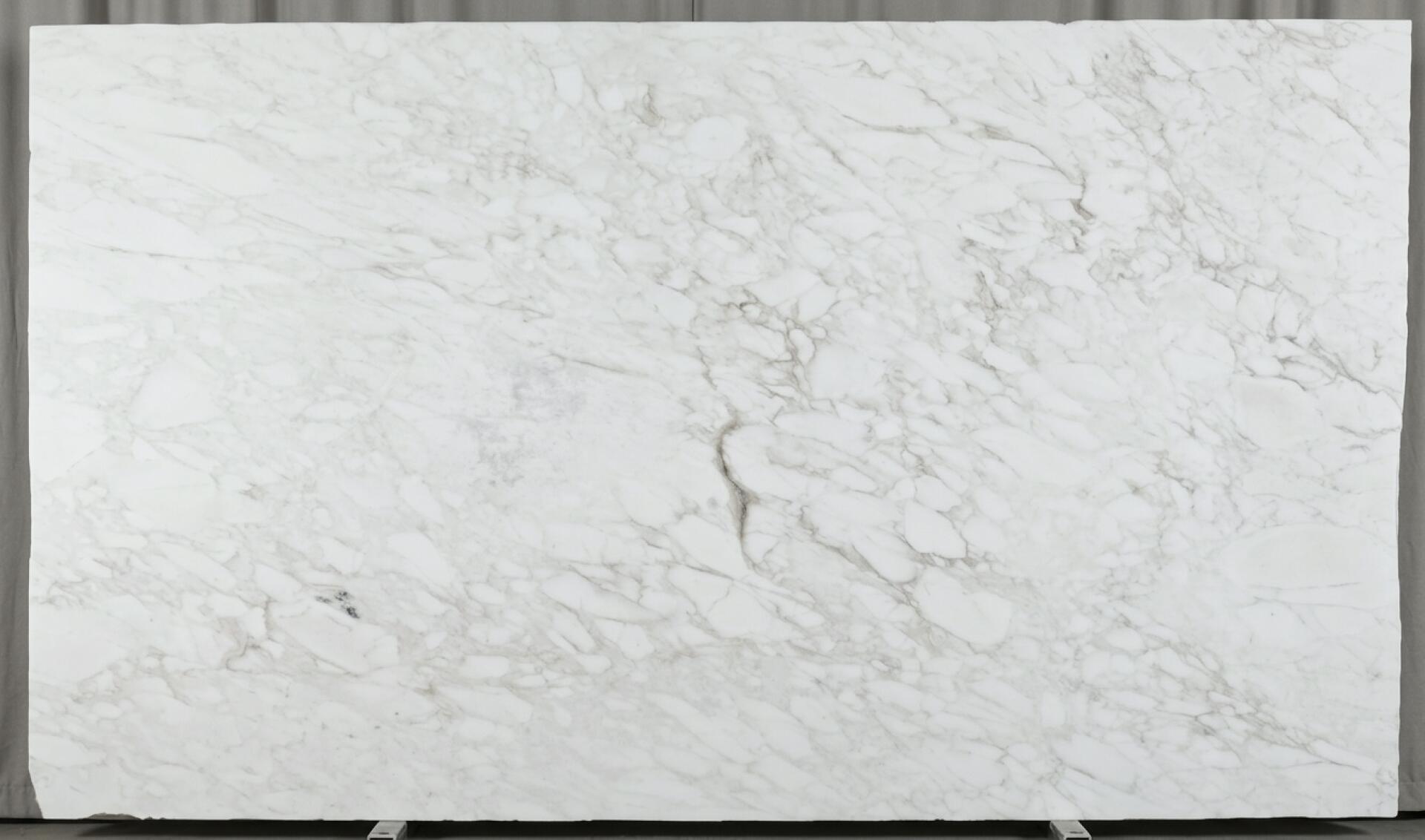 Calacatta Caldia Slab