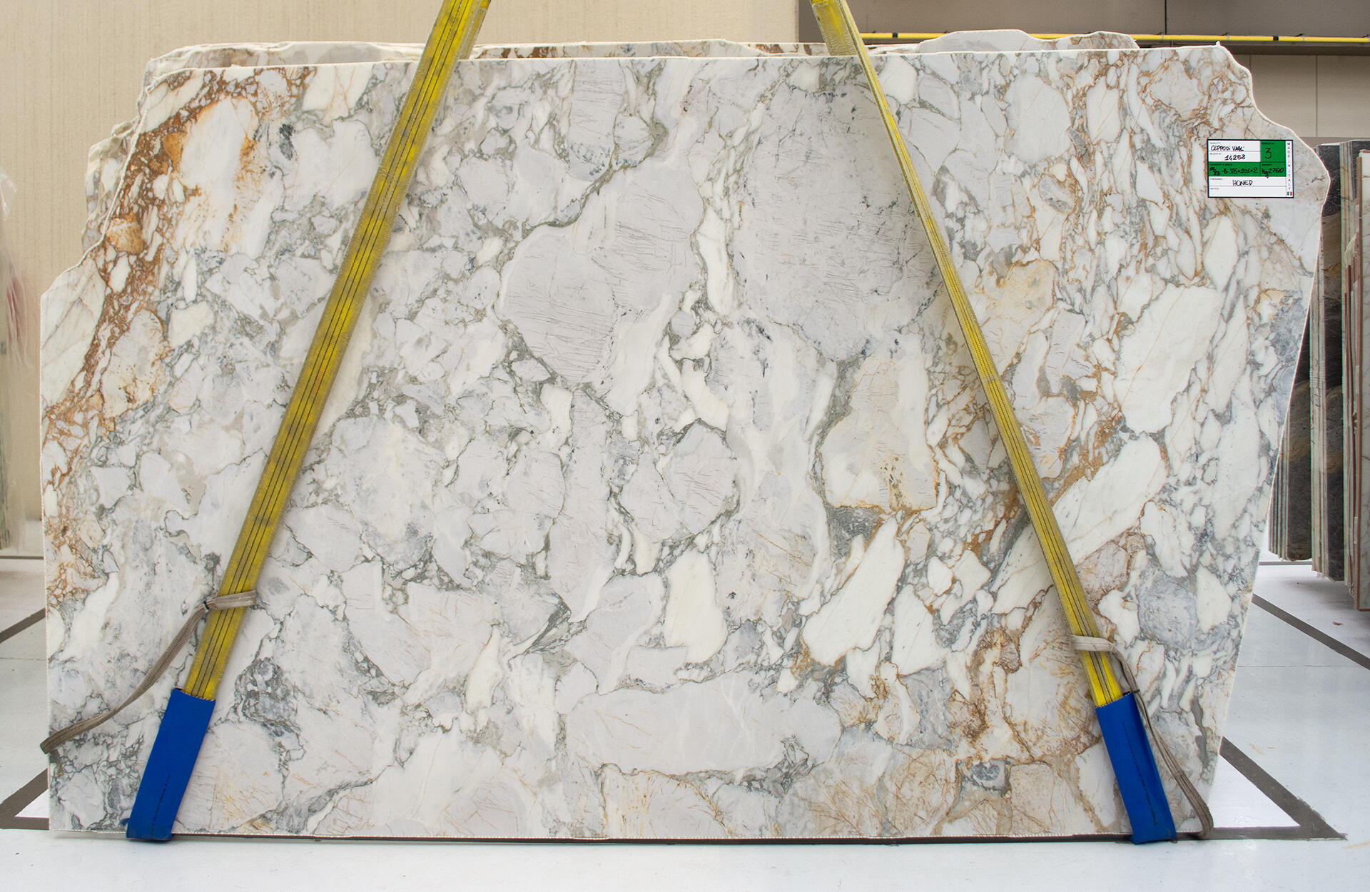 Ceppo Di Vagli Slab