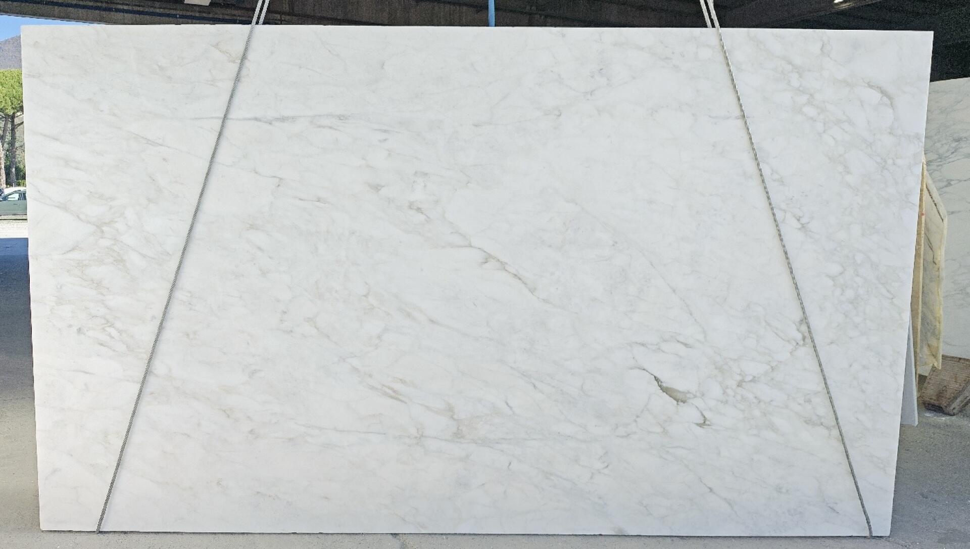 Calacatta Caldia Slab