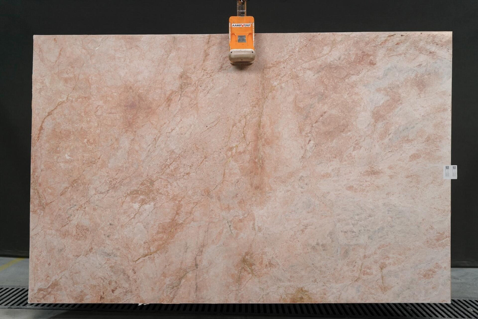 Coral Reef  Slab