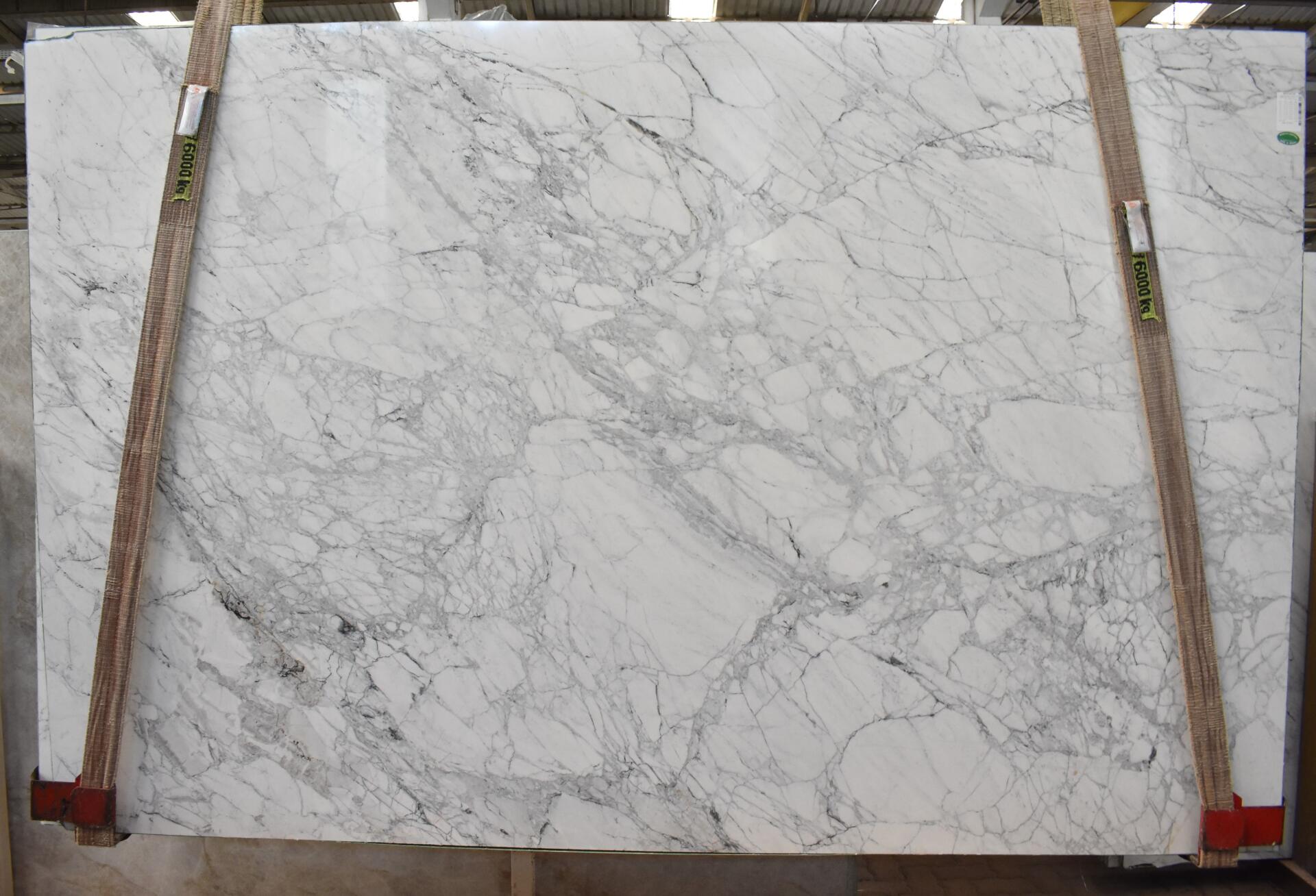 Calacatta Chiara Slab