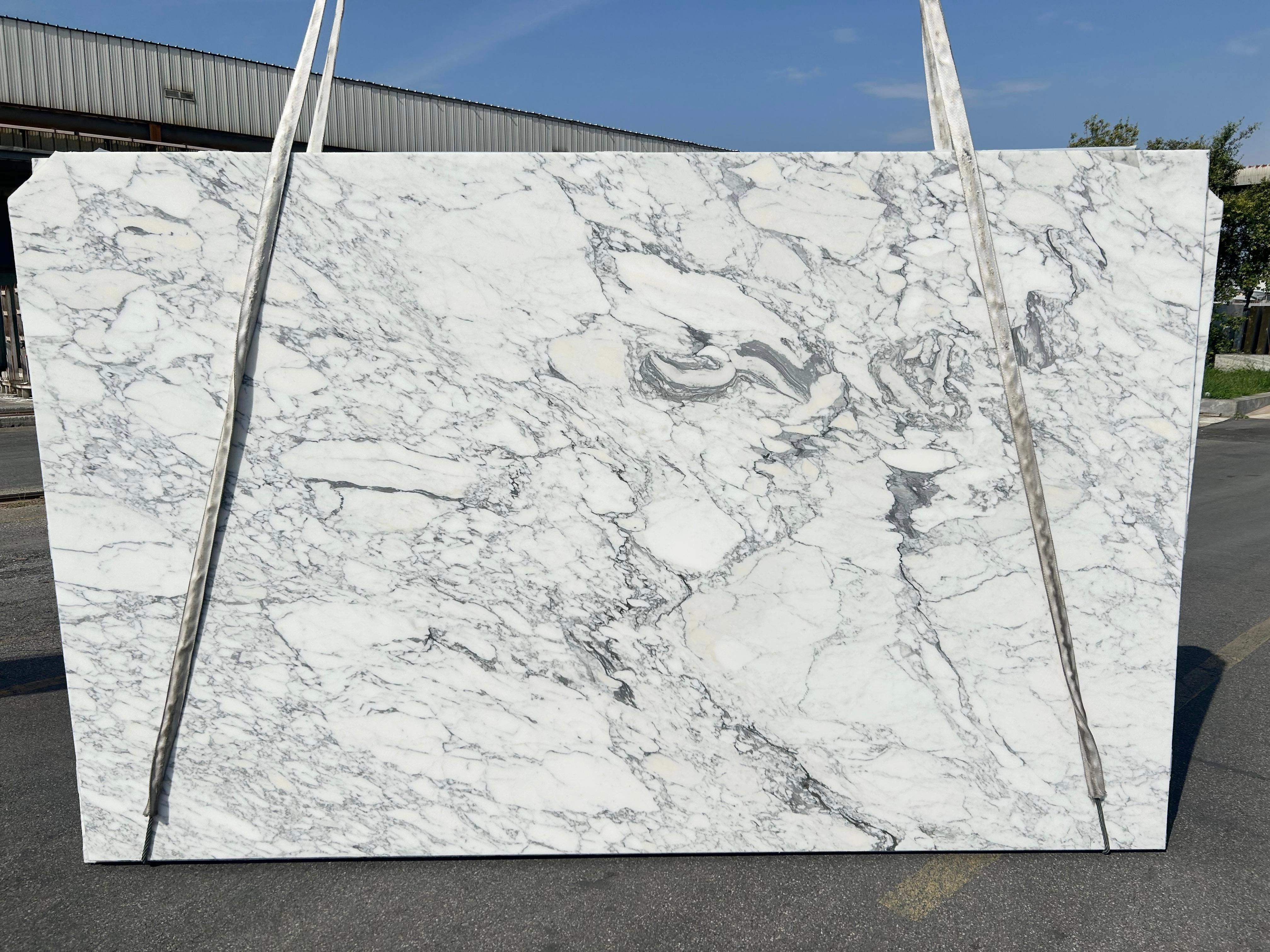 Calacatta Altissimo Honed 2cm additional photo