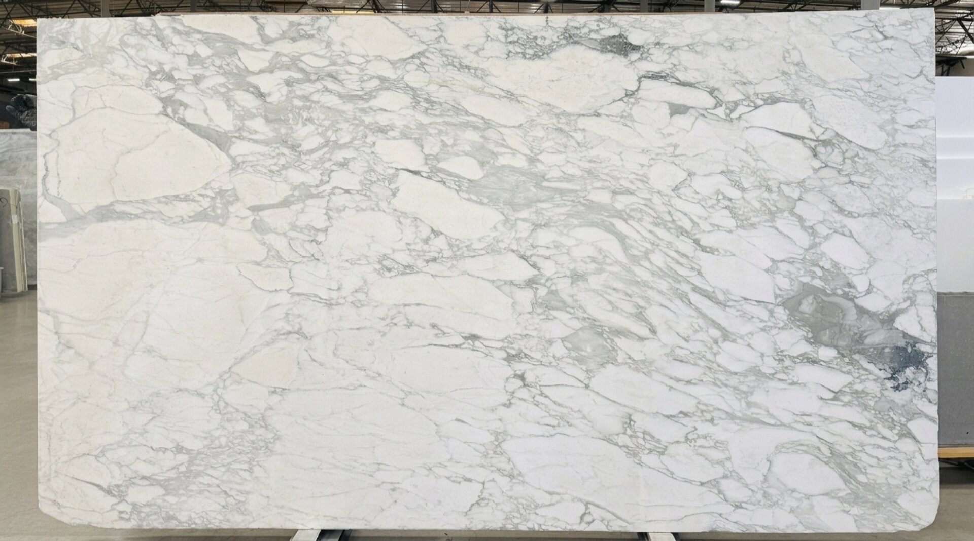 Calacatta Paonazzo Slab