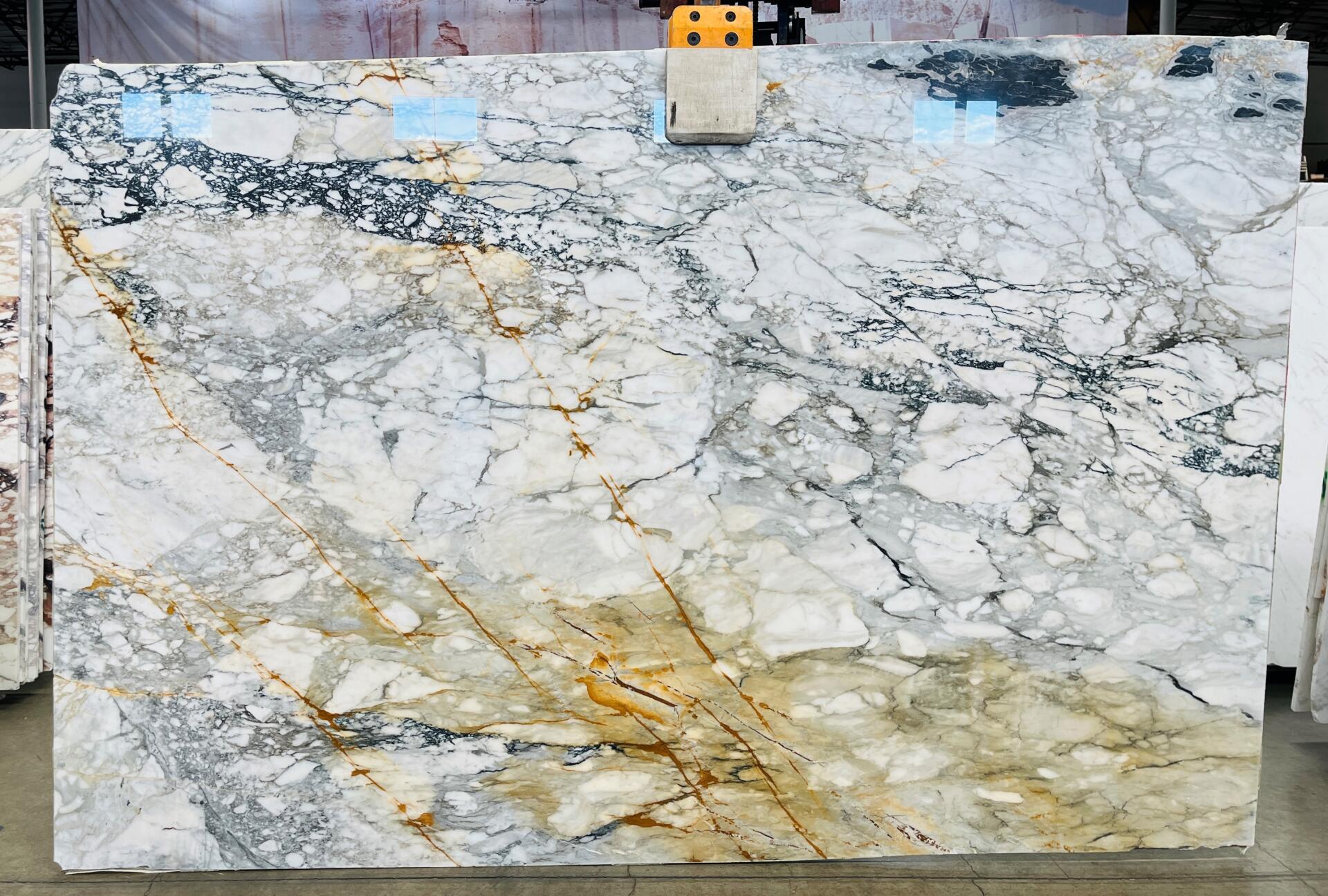 Calacatta Paonazzo Slab