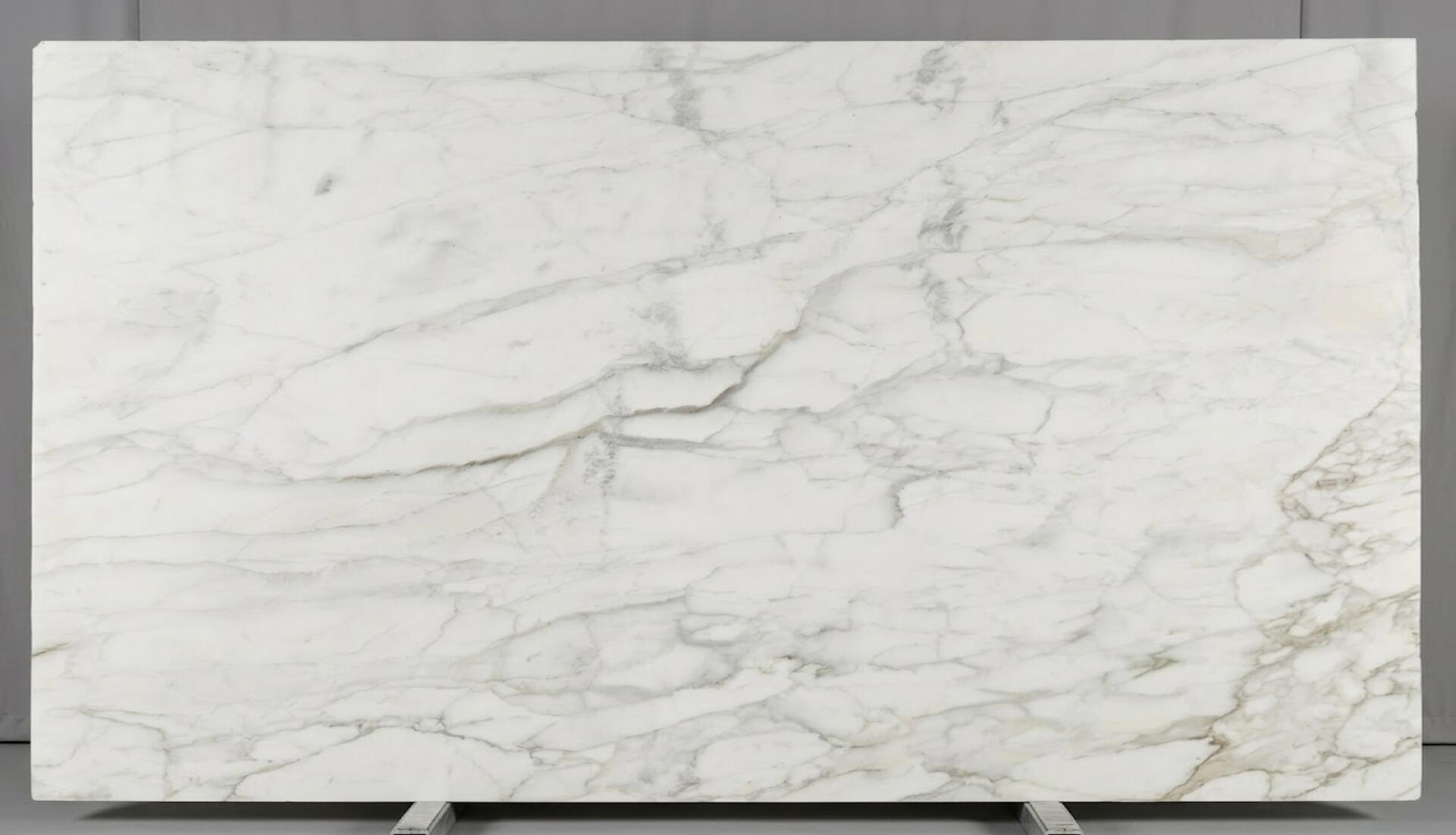 Calacatta Caldia Slab
