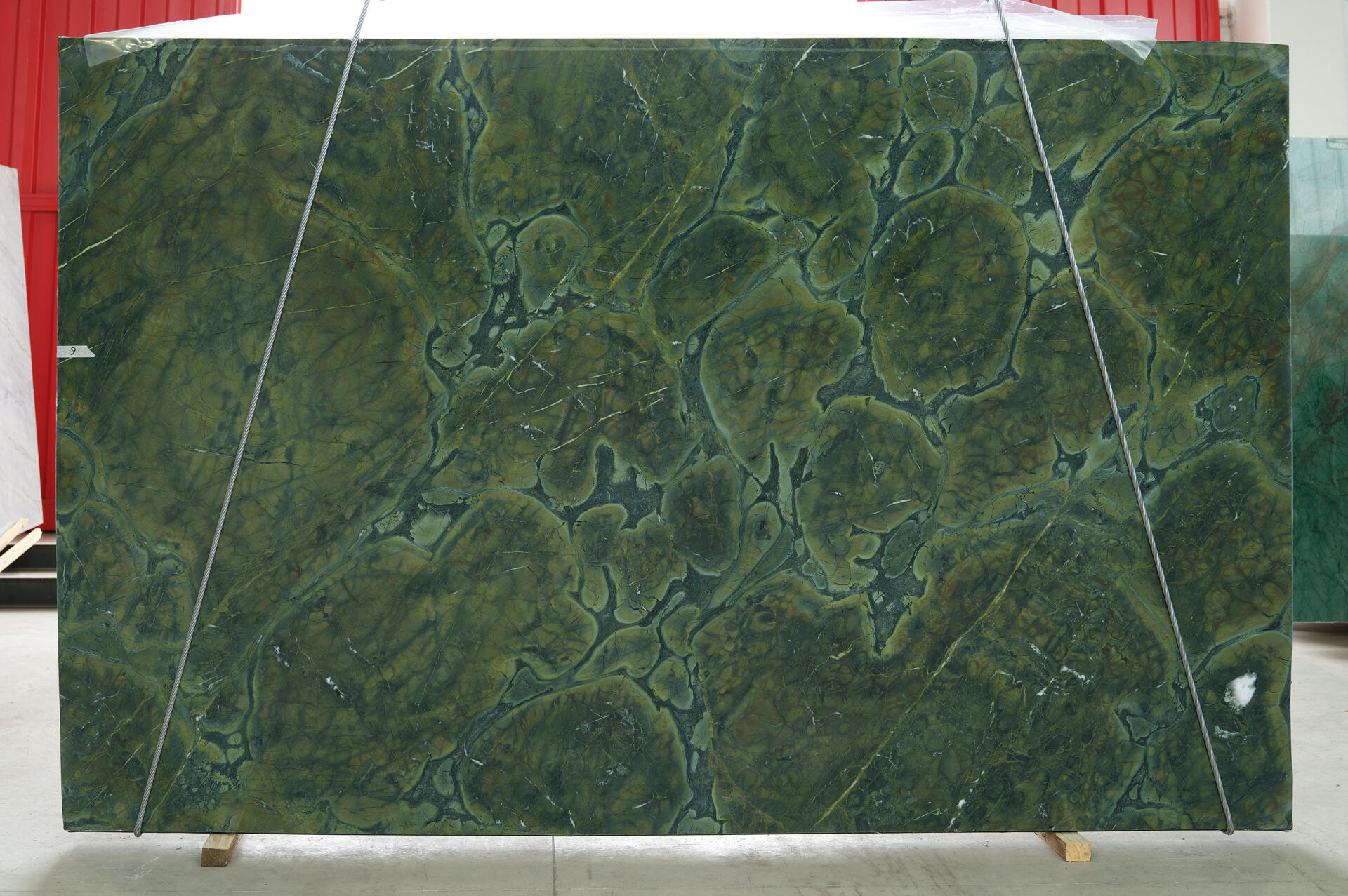 Vitoria Regia Polished 2cm Slab