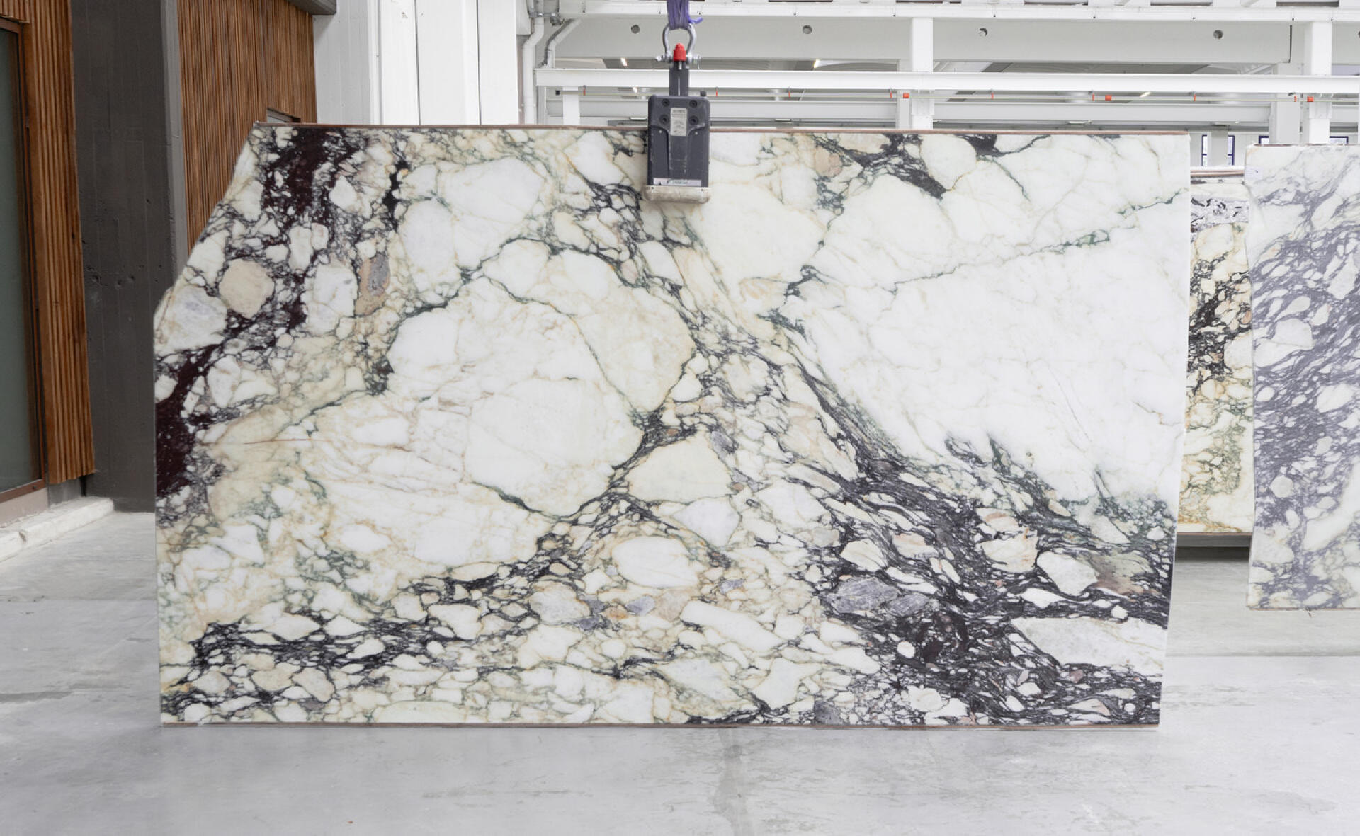 Calacatta Monet Viola Honed 2CM Slab