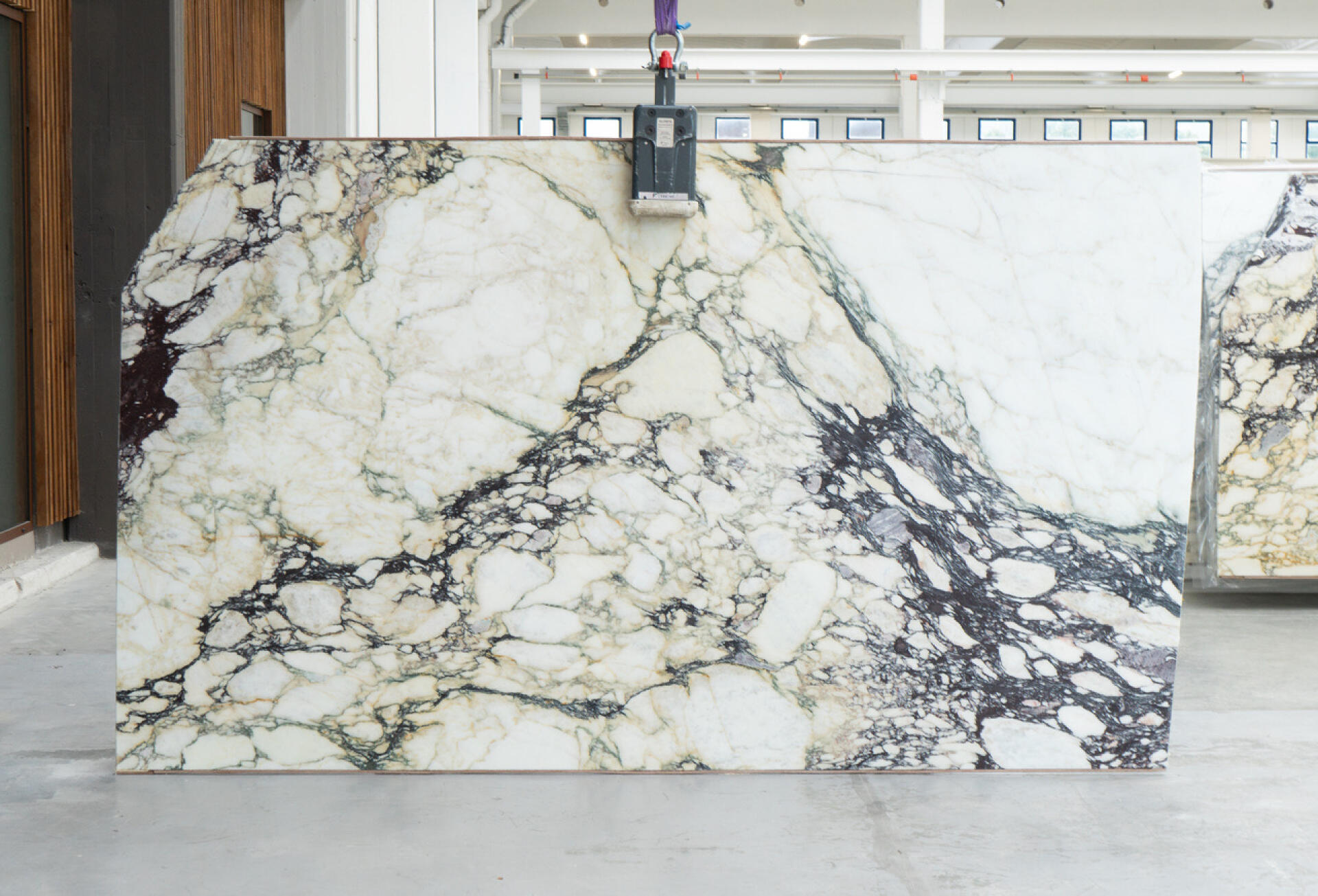 Calacatta Monet Viola Slab