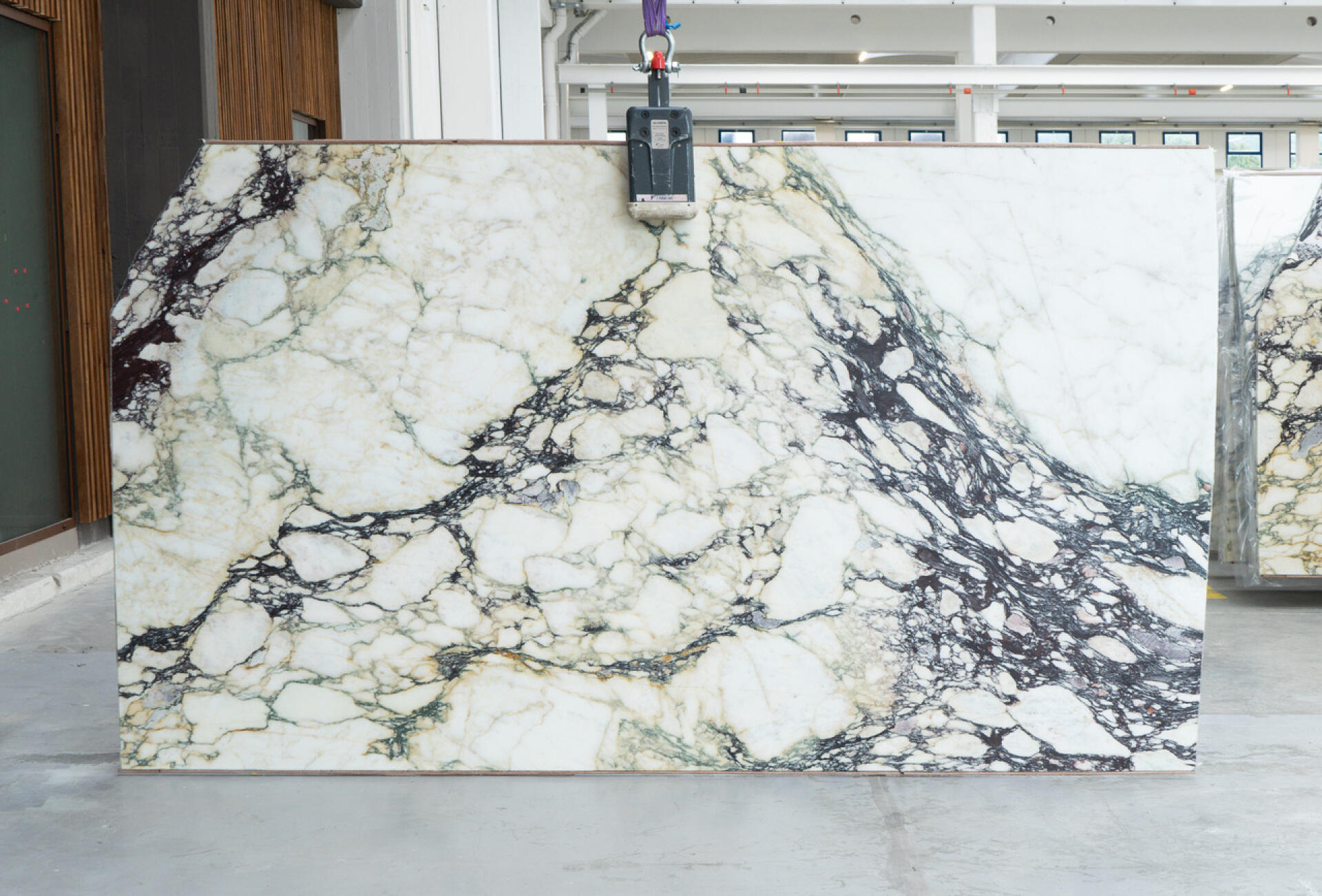 Calacatta Monet Viola Slab