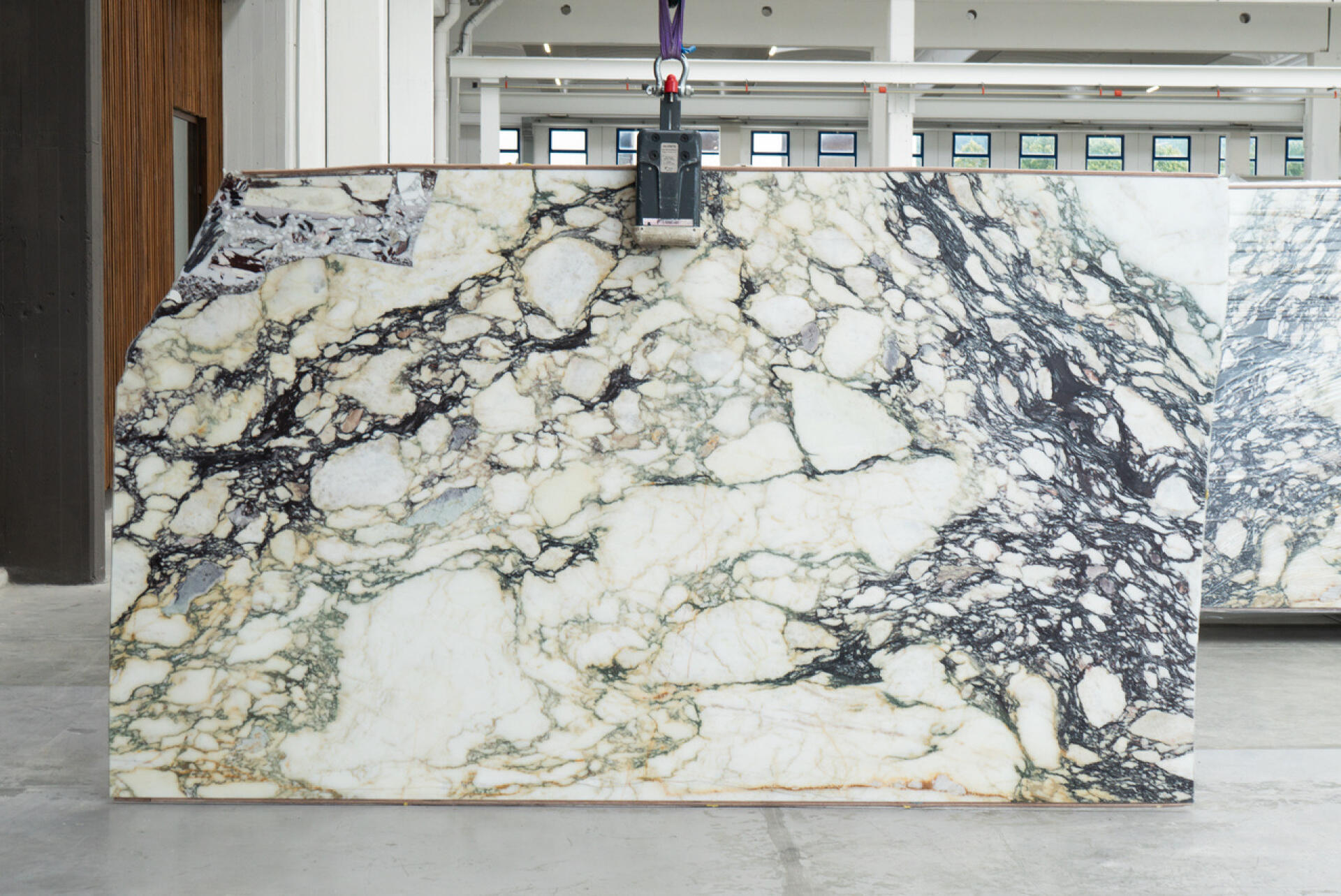 Calacatta Monet Viola Slab