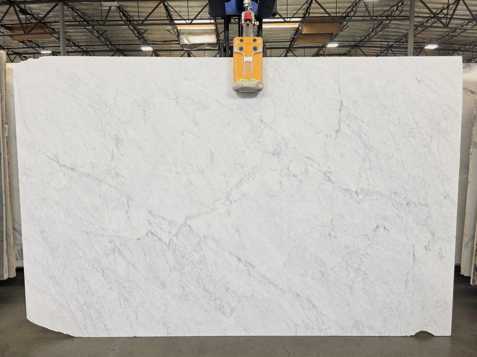 Bianco Carrara Slab