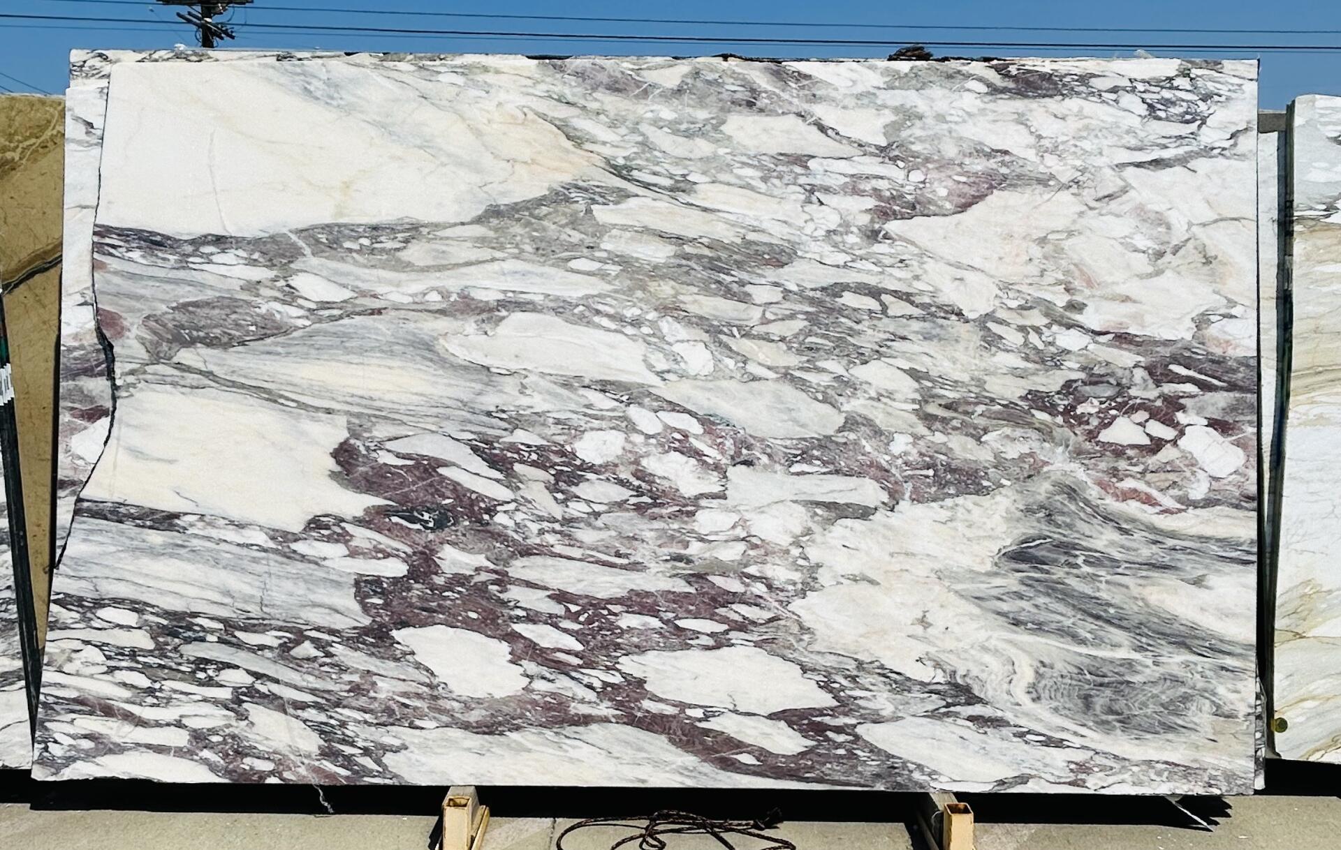 Calacatta Viola Slab