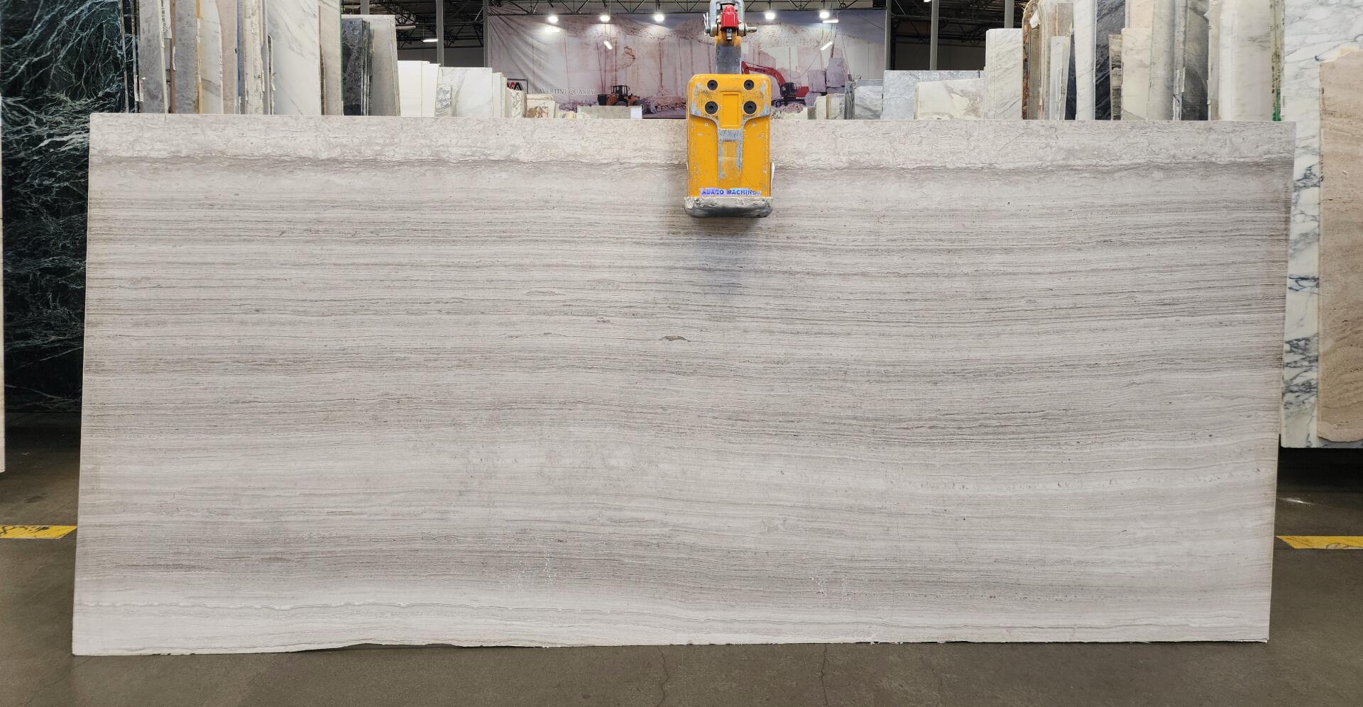 Latitude White Extra Polished 2cm Slab