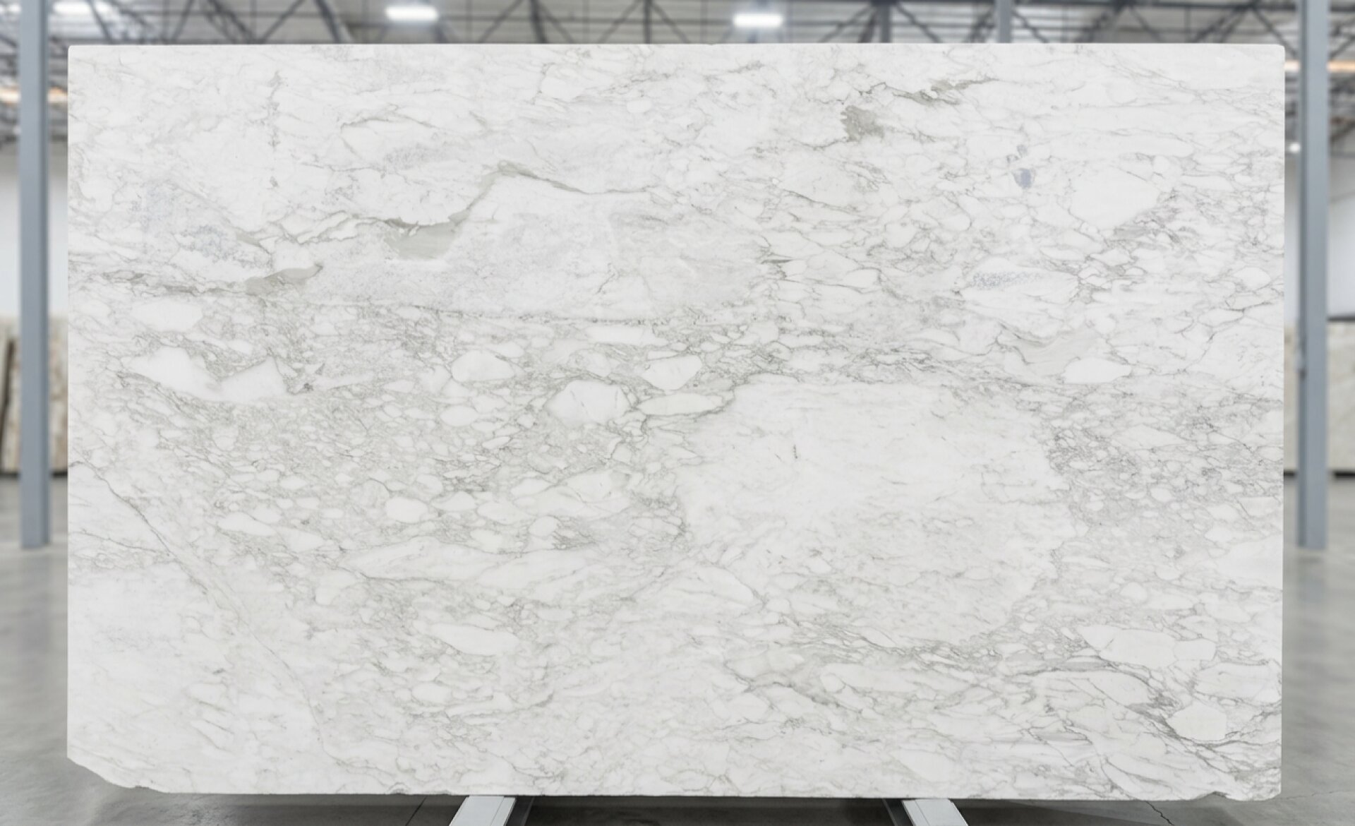 Calacatta Caldia Slab