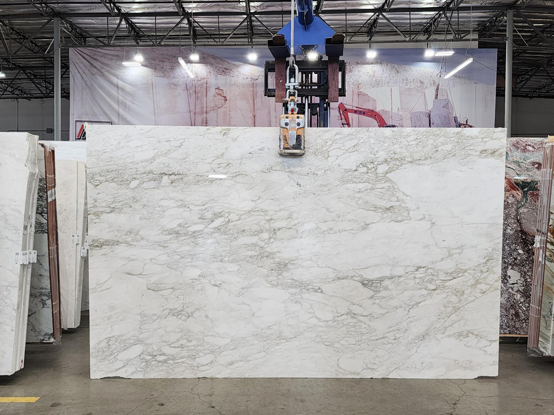 Calacatta Caldia Slab