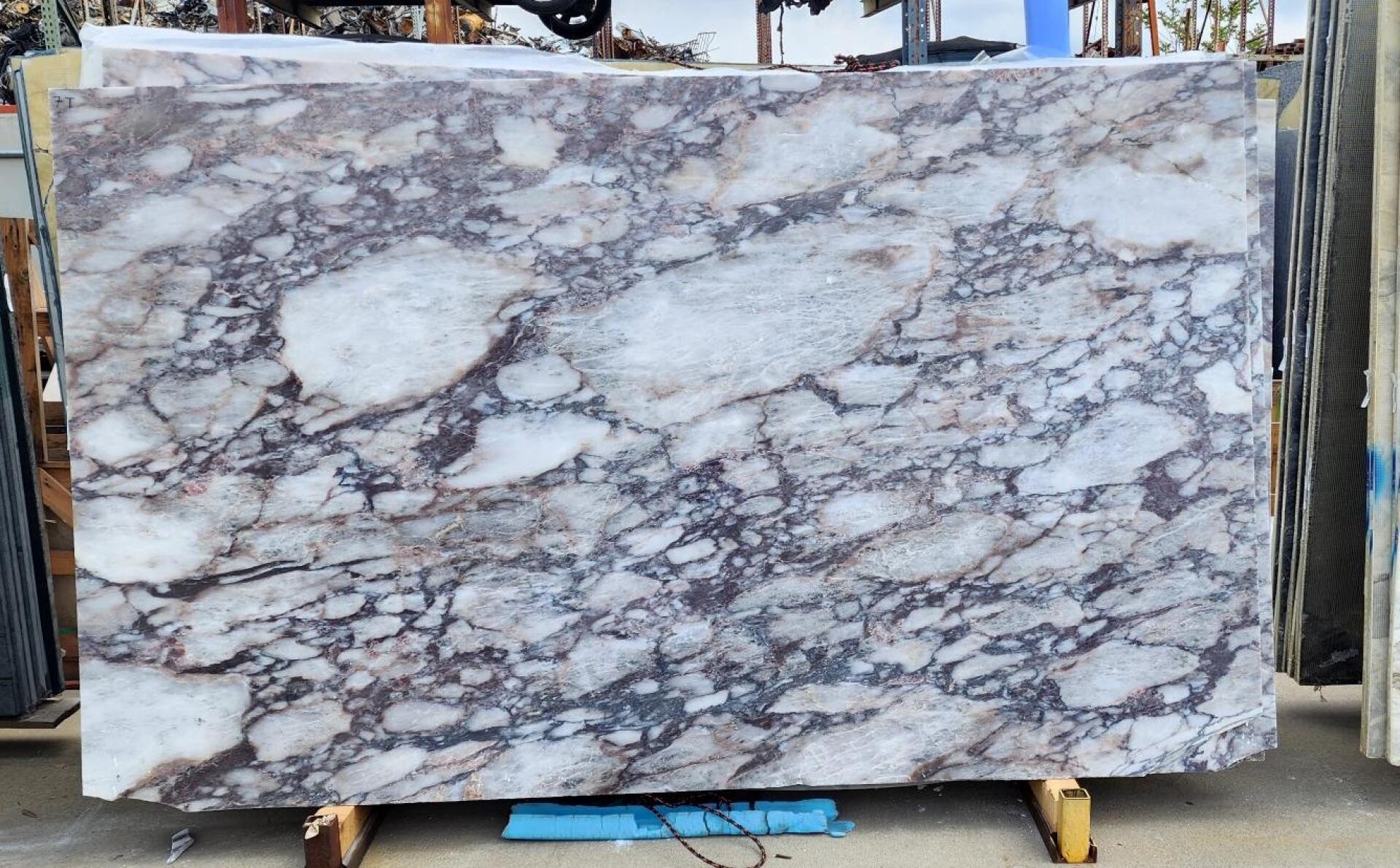 Bordeaux Grigio/Polished Slab