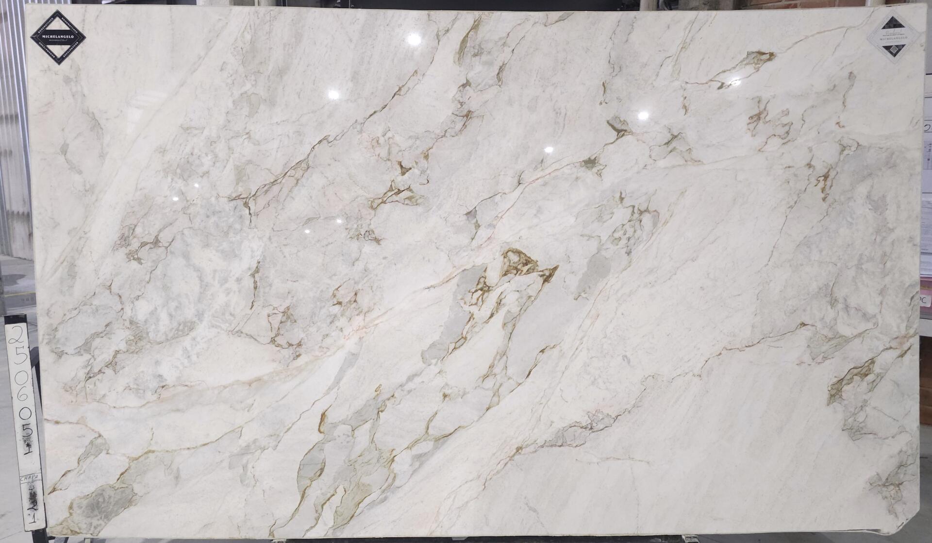 Calacatta Chiara Slab