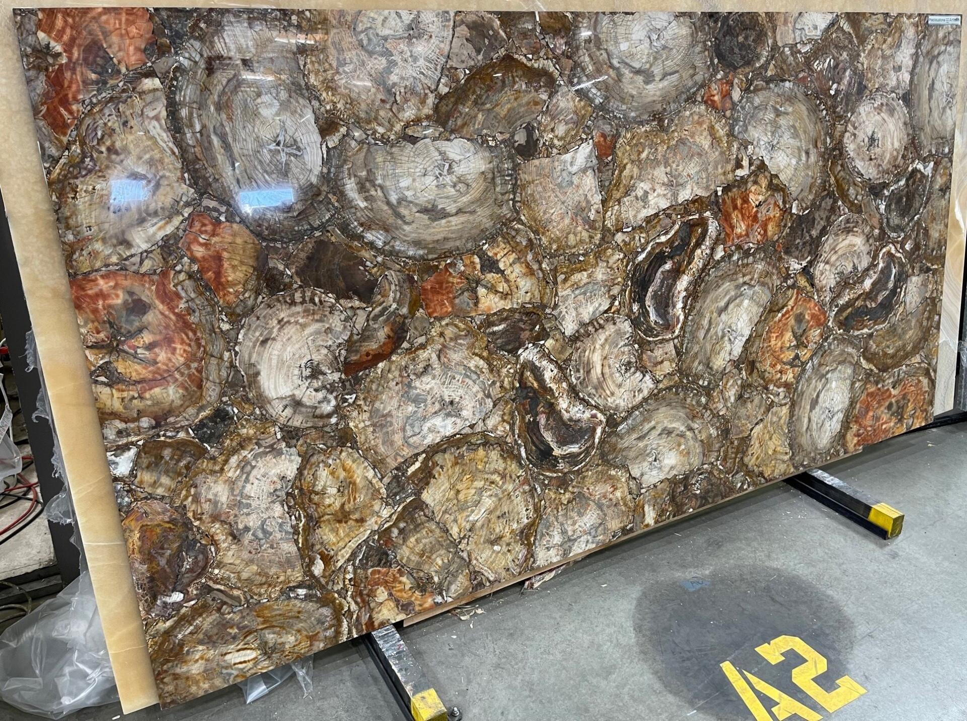 Retro Brown Petrified Wood Lux Slab