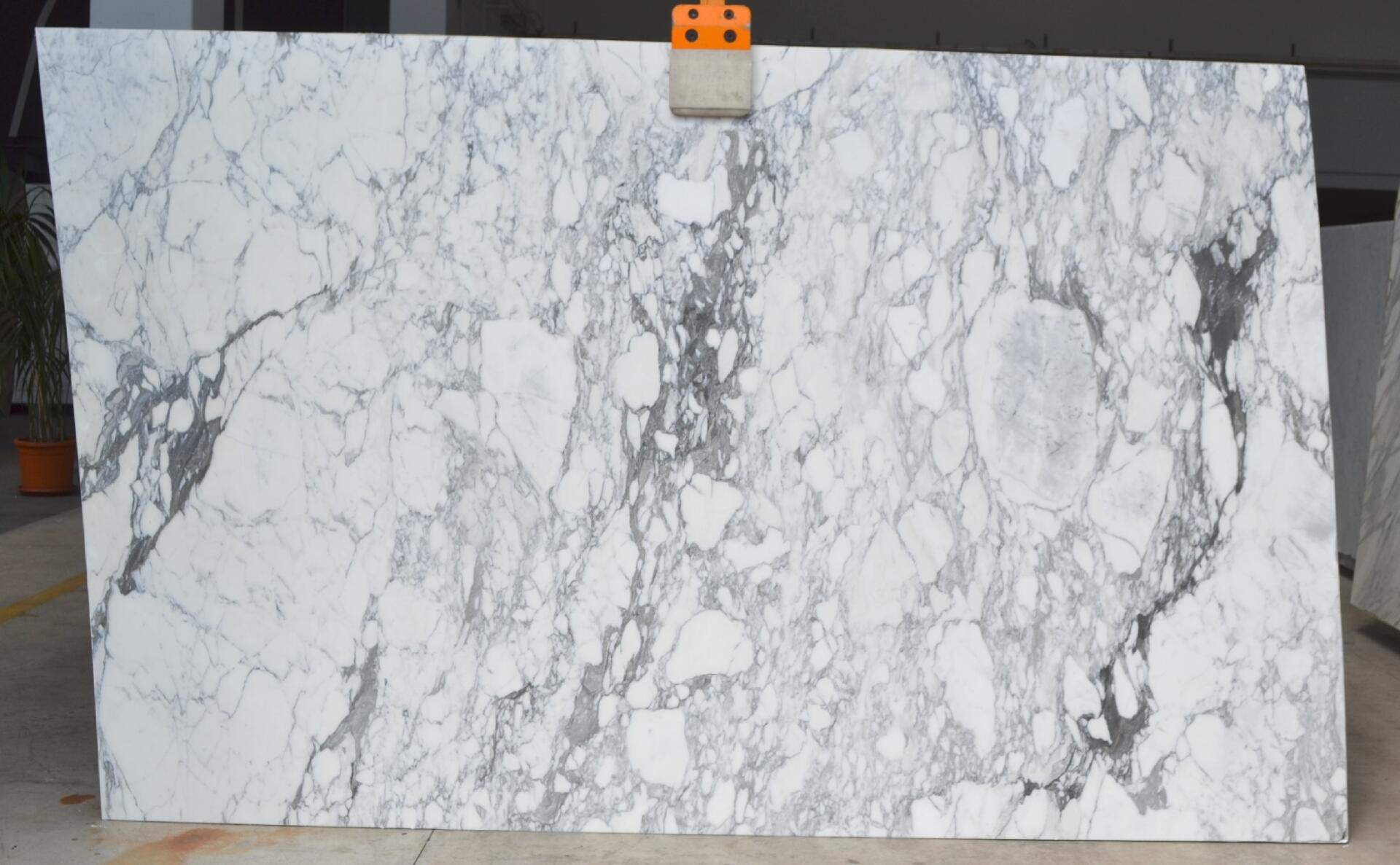 Arabescato Corchia Honed 2cm Slab