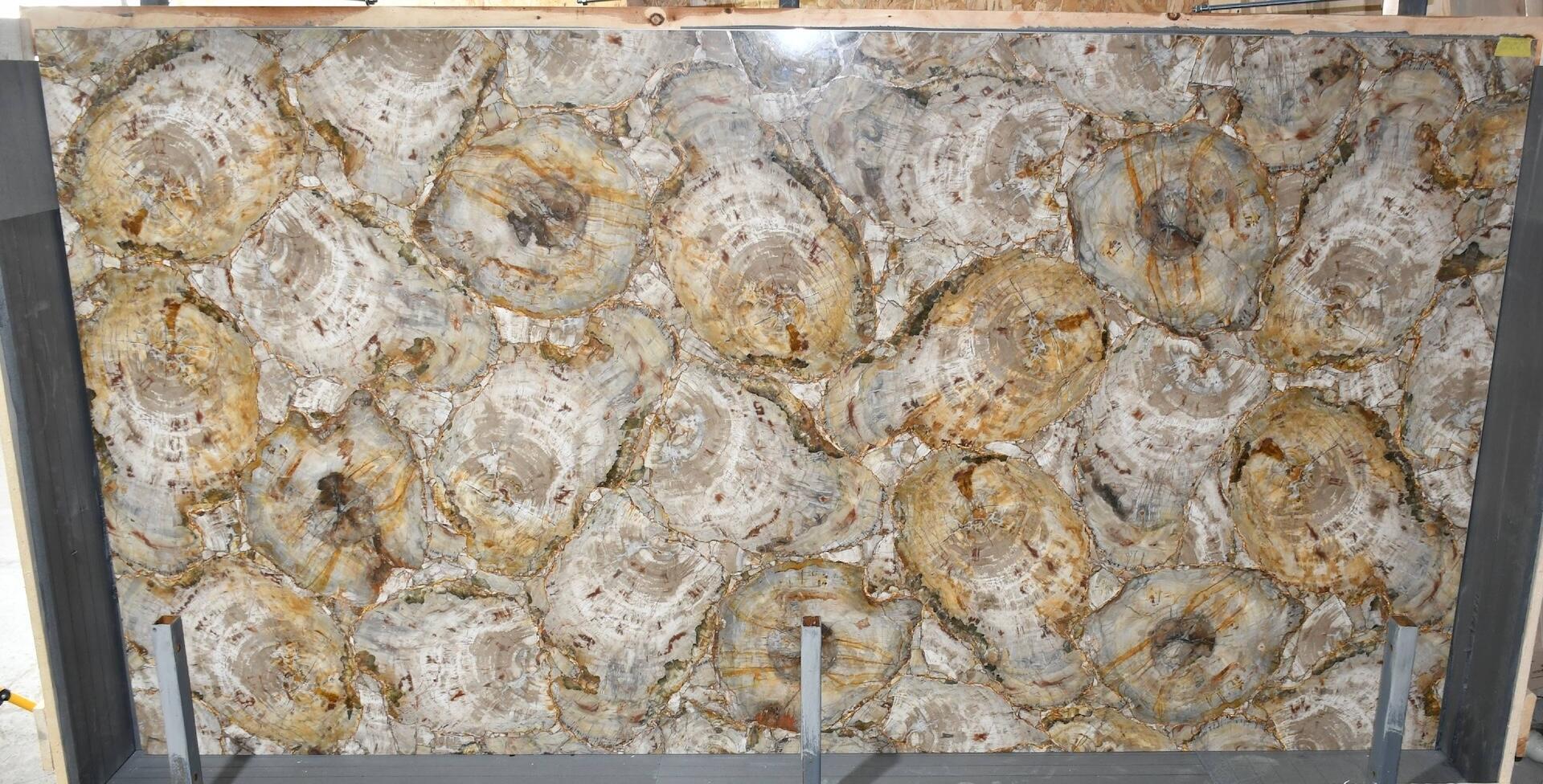 Beige Petrified Wood with Gold 2cm Slab