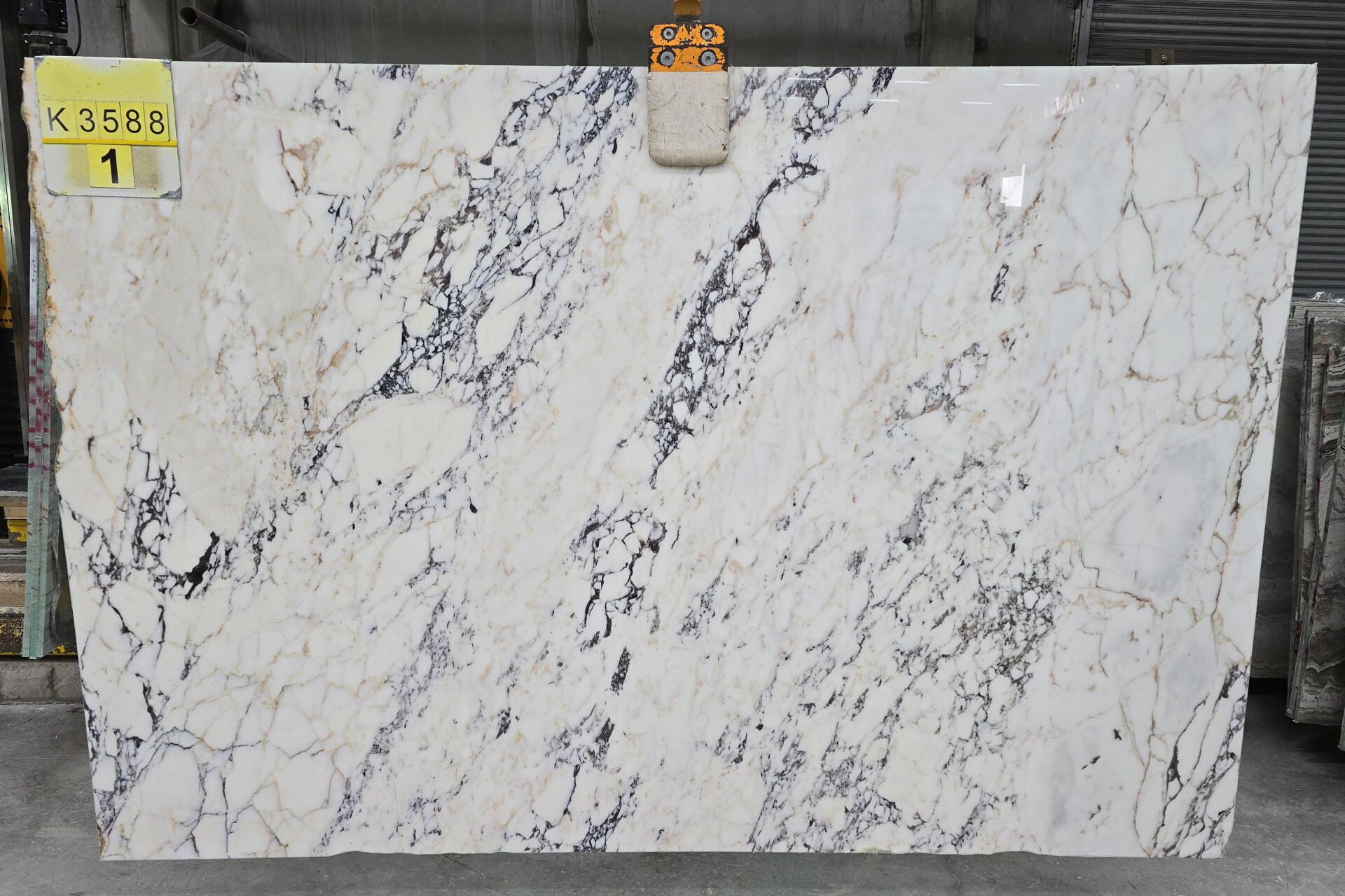 Calacatta Viola Slab