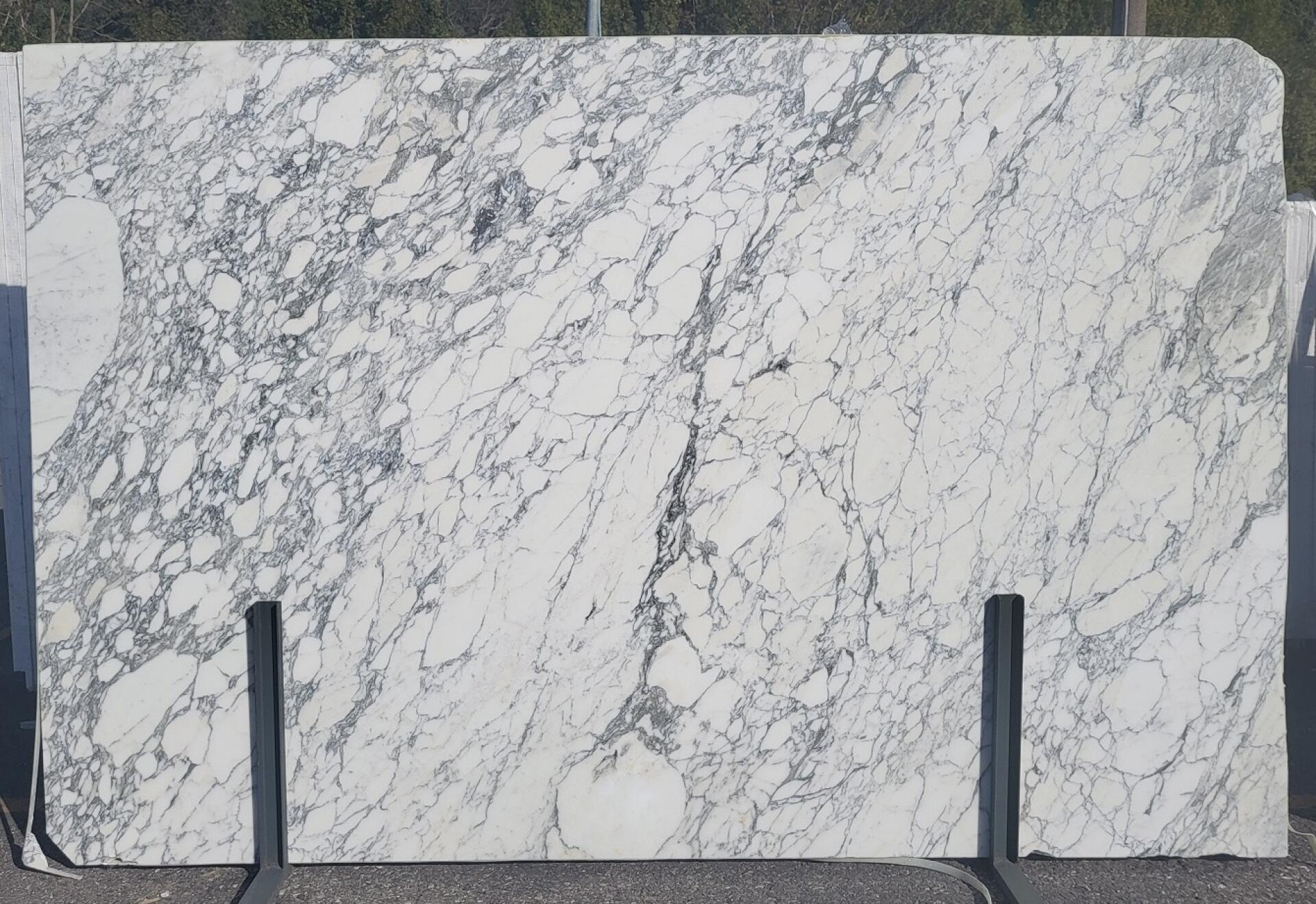 Arabescato Corchia Slab