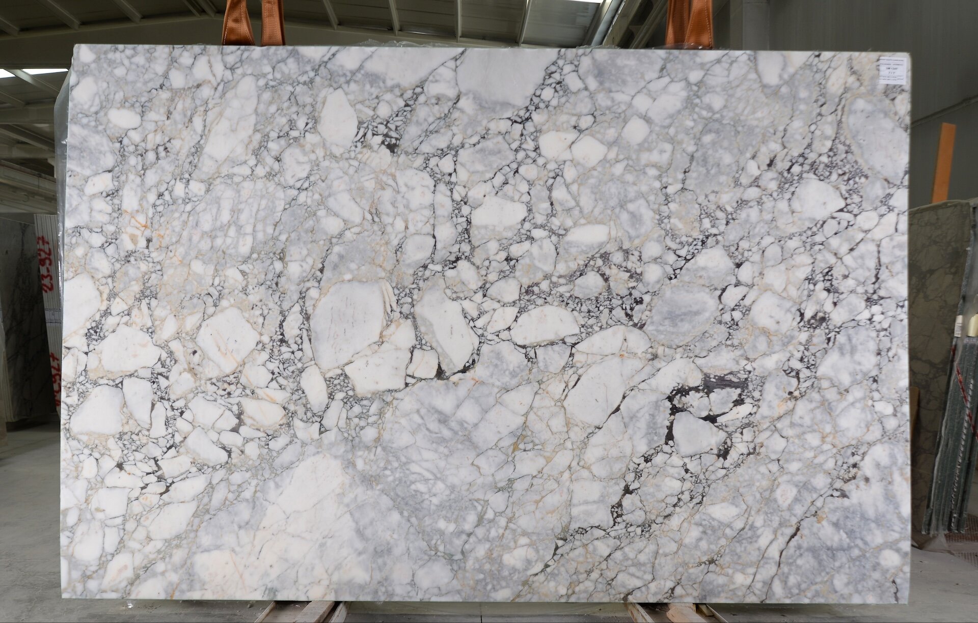 Calacatta Monet 2cm Slab