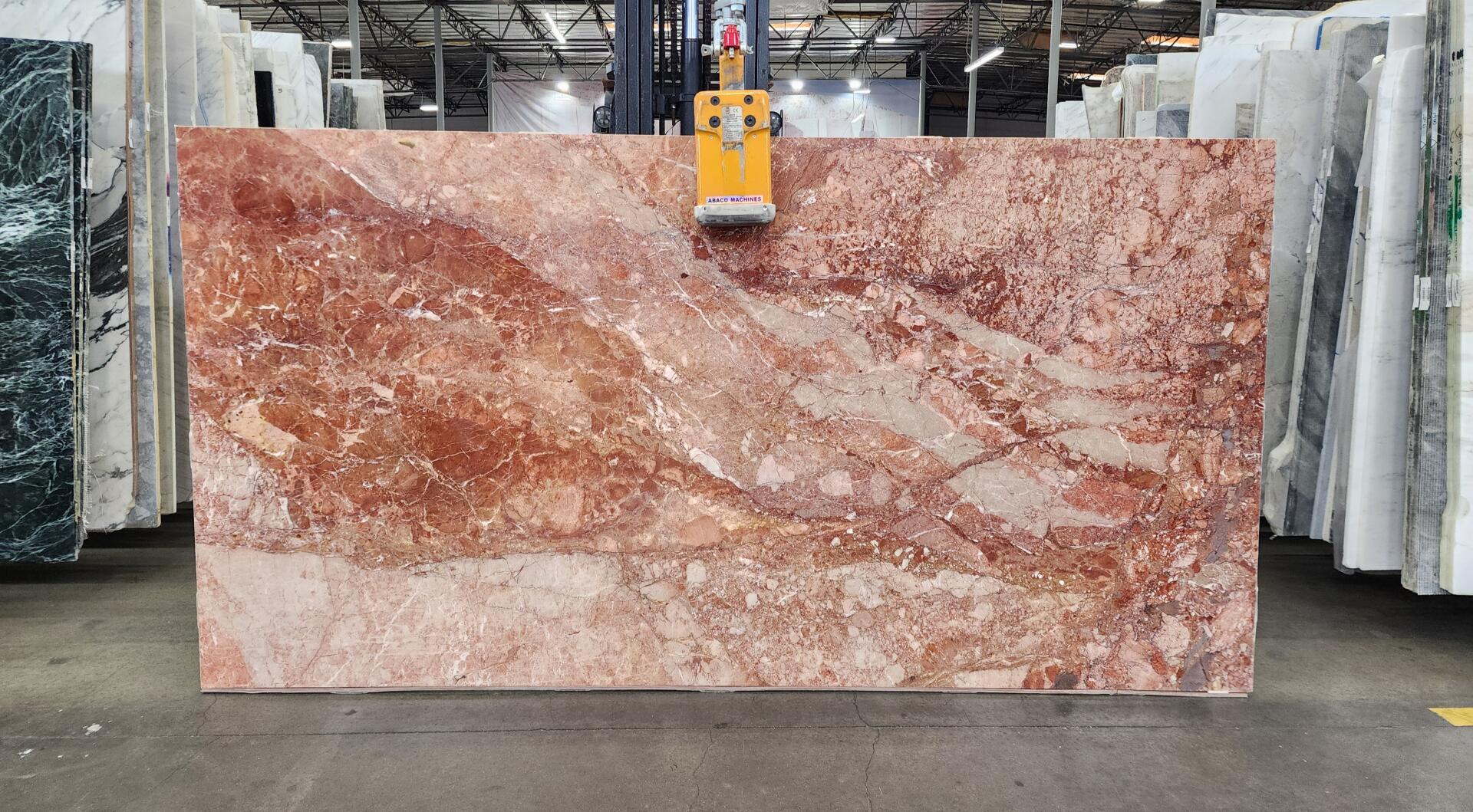 Breccia Pernice Polished Finish 2cm Slab