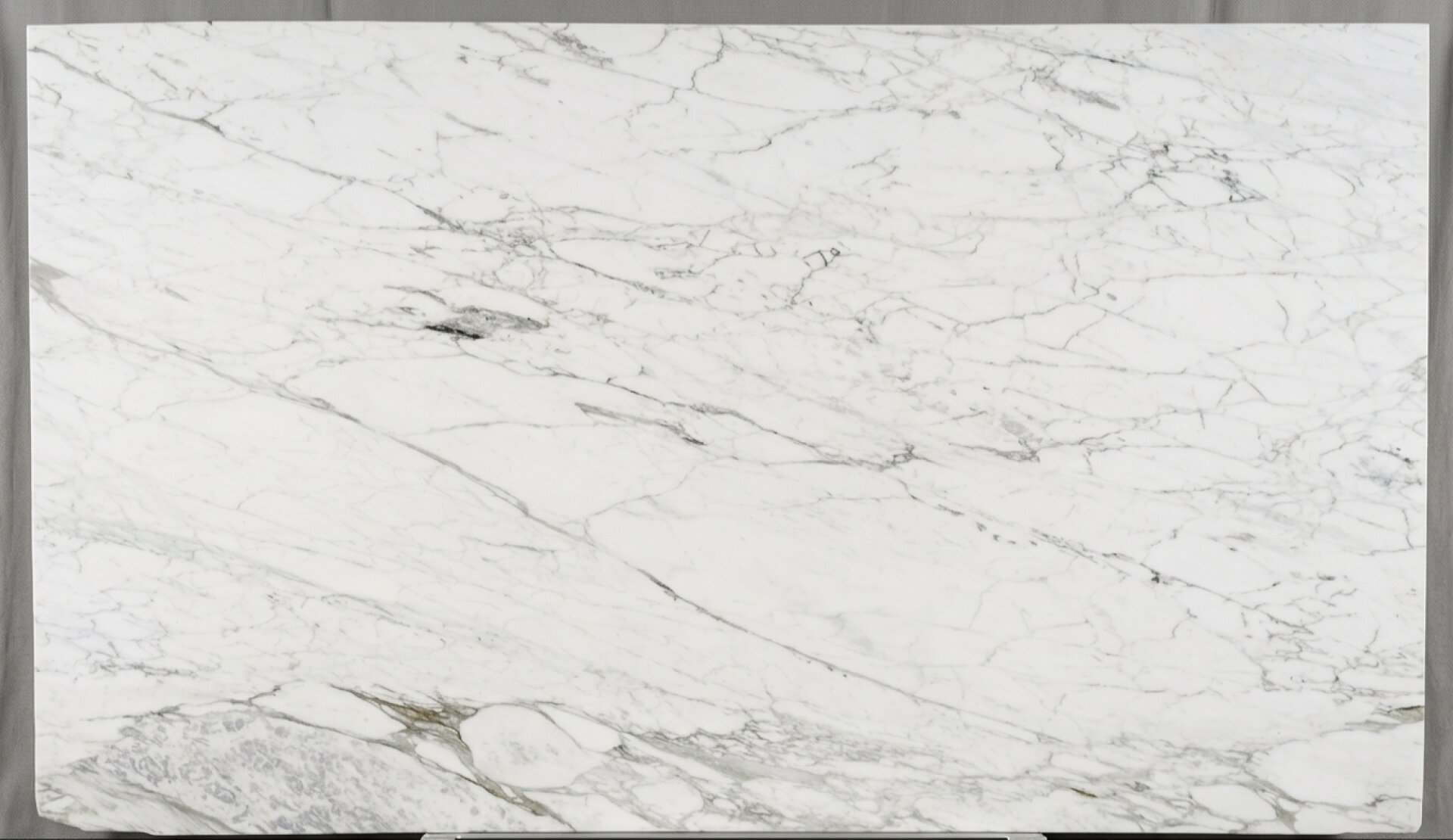 Calacatta Gold Caldia Slab