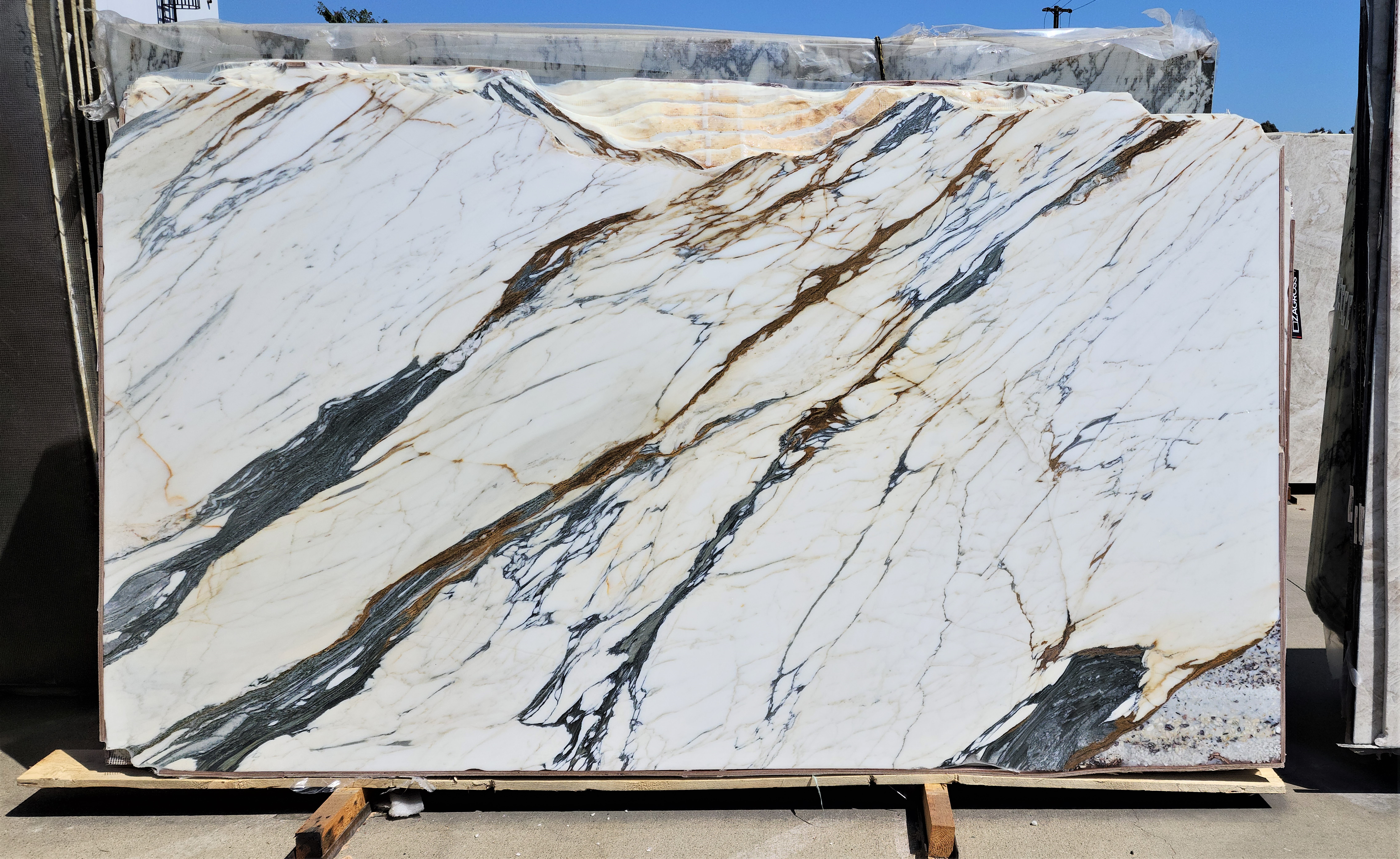 Calacatta Paonazzo Polished 2cm Slab