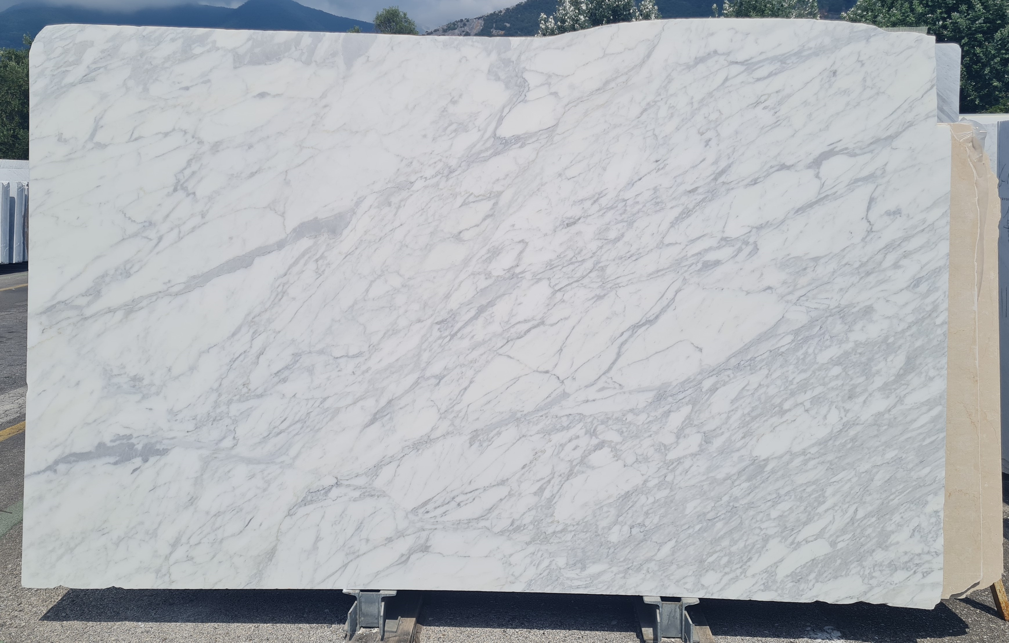 Calacatta Classico Honed 2cm Slab