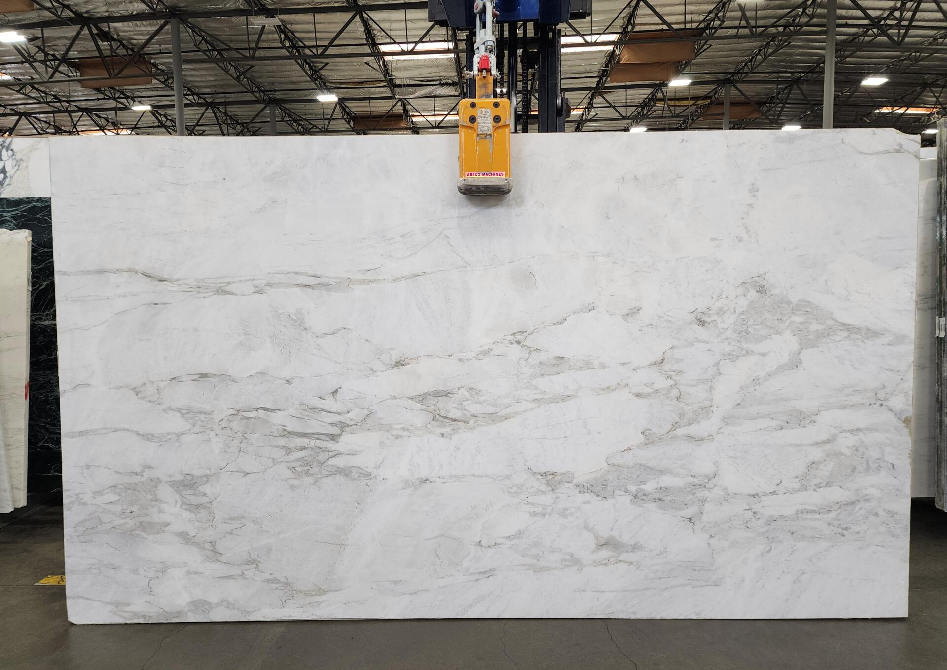 Calacatta Chiara Slab