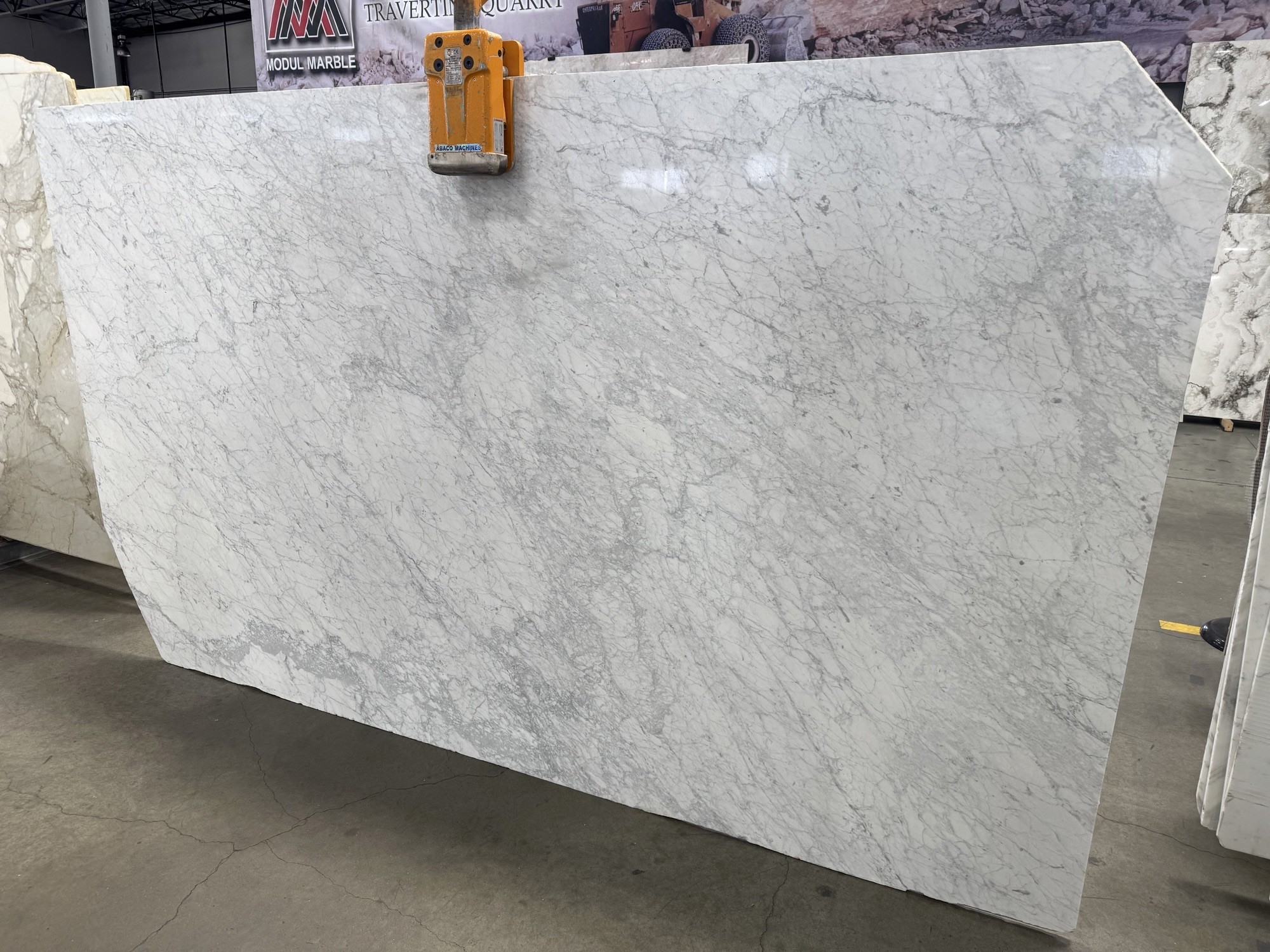 Bianco Carrara Venatino Polished/Honed Dual Finish 2cm Slab