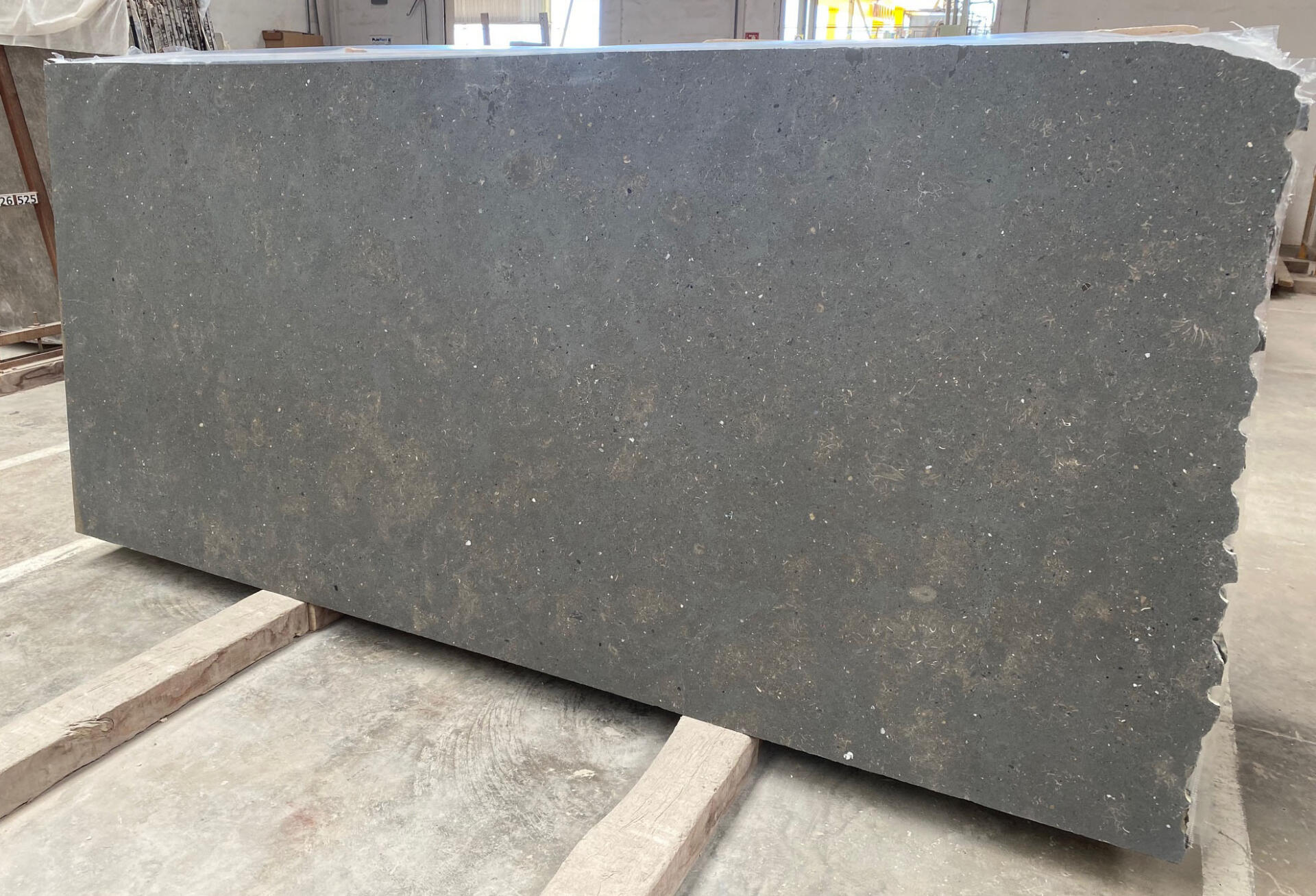 Gris Catalan Slab