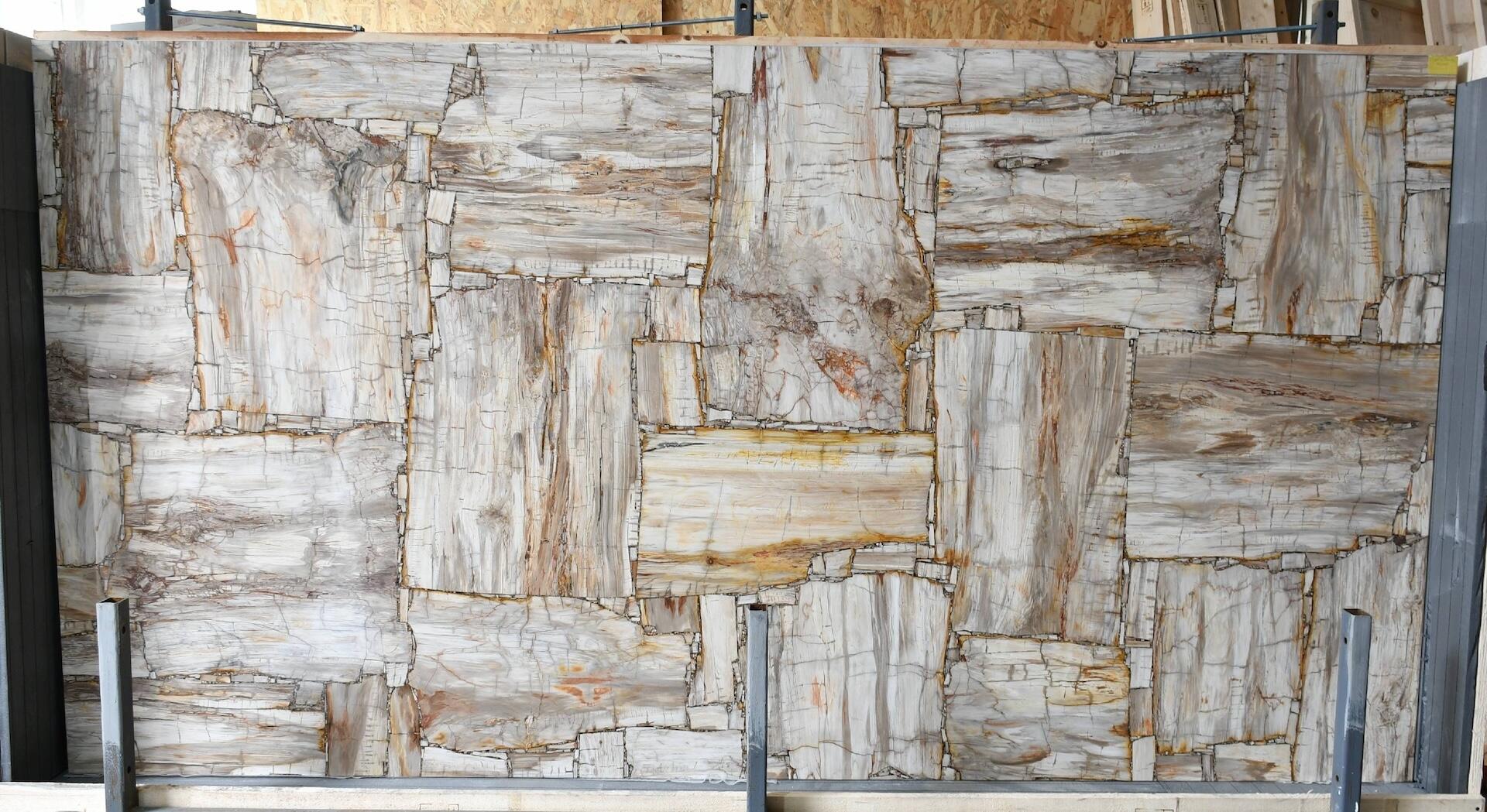 Ivory Petrified Wood Retro Slab