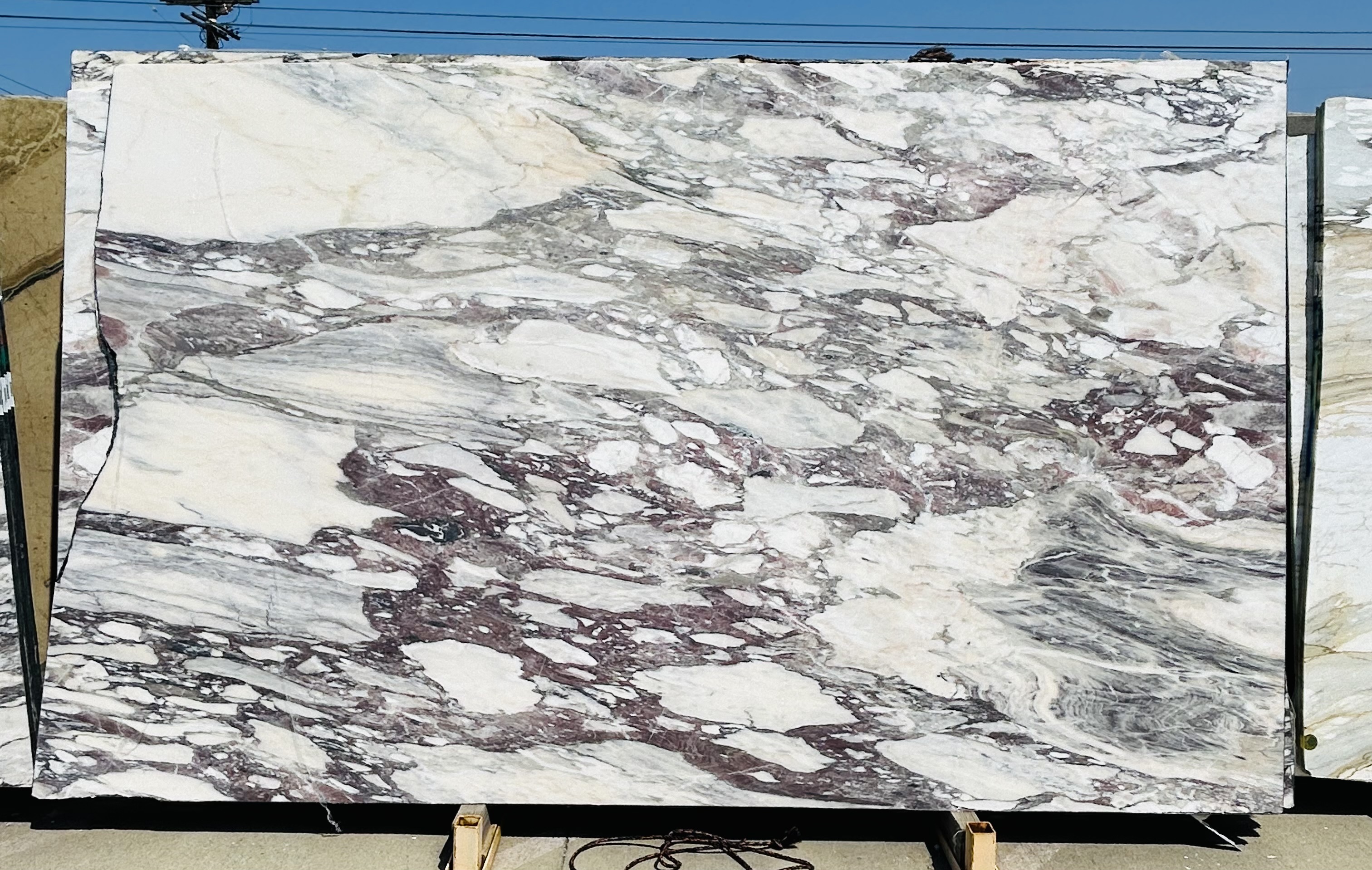 Calacatta Viola Honed 2cm Slab