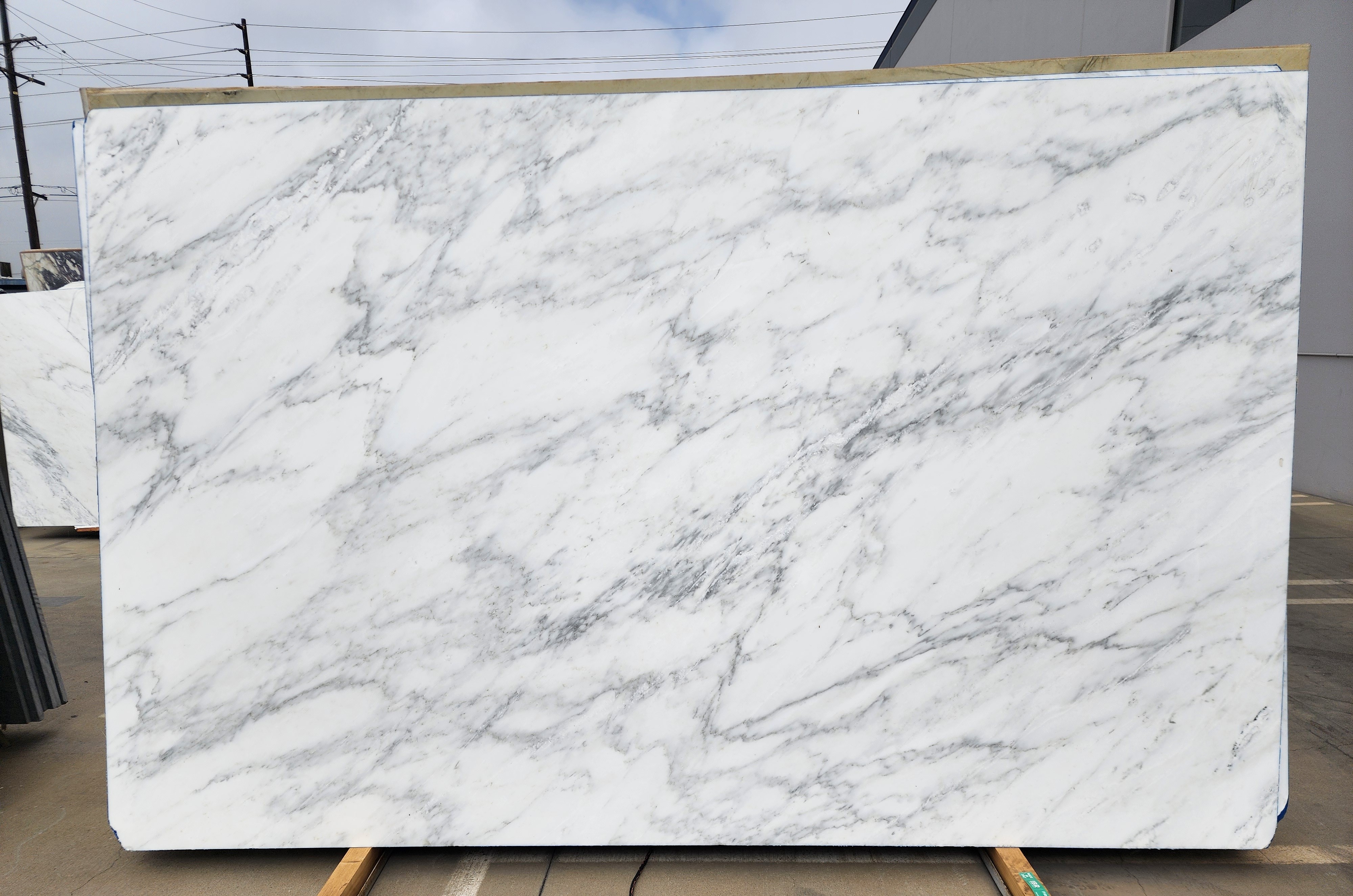 Calacatta Bella Extra Honed 2cm Slab