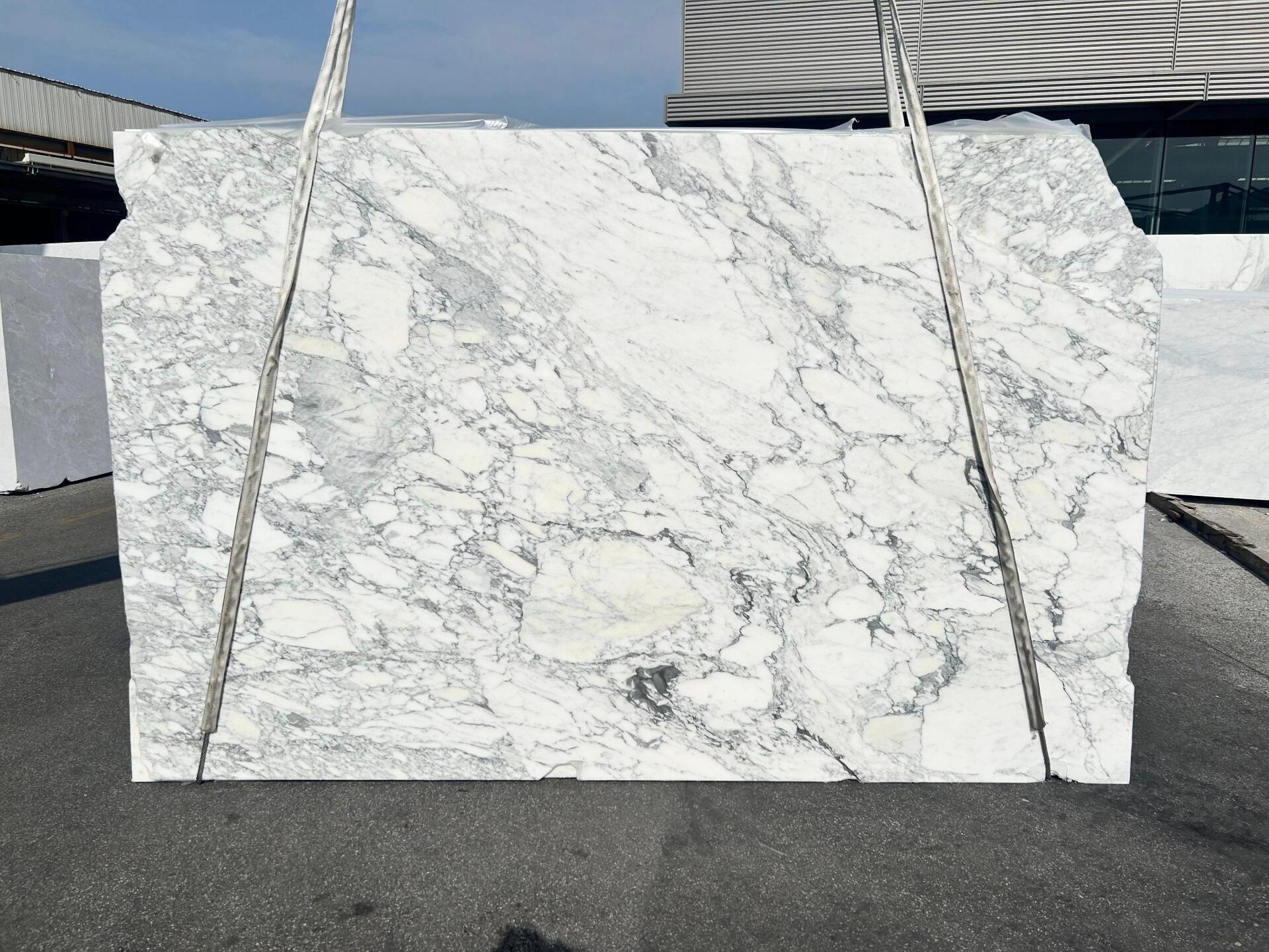 Calacatta Altissimo Slab
