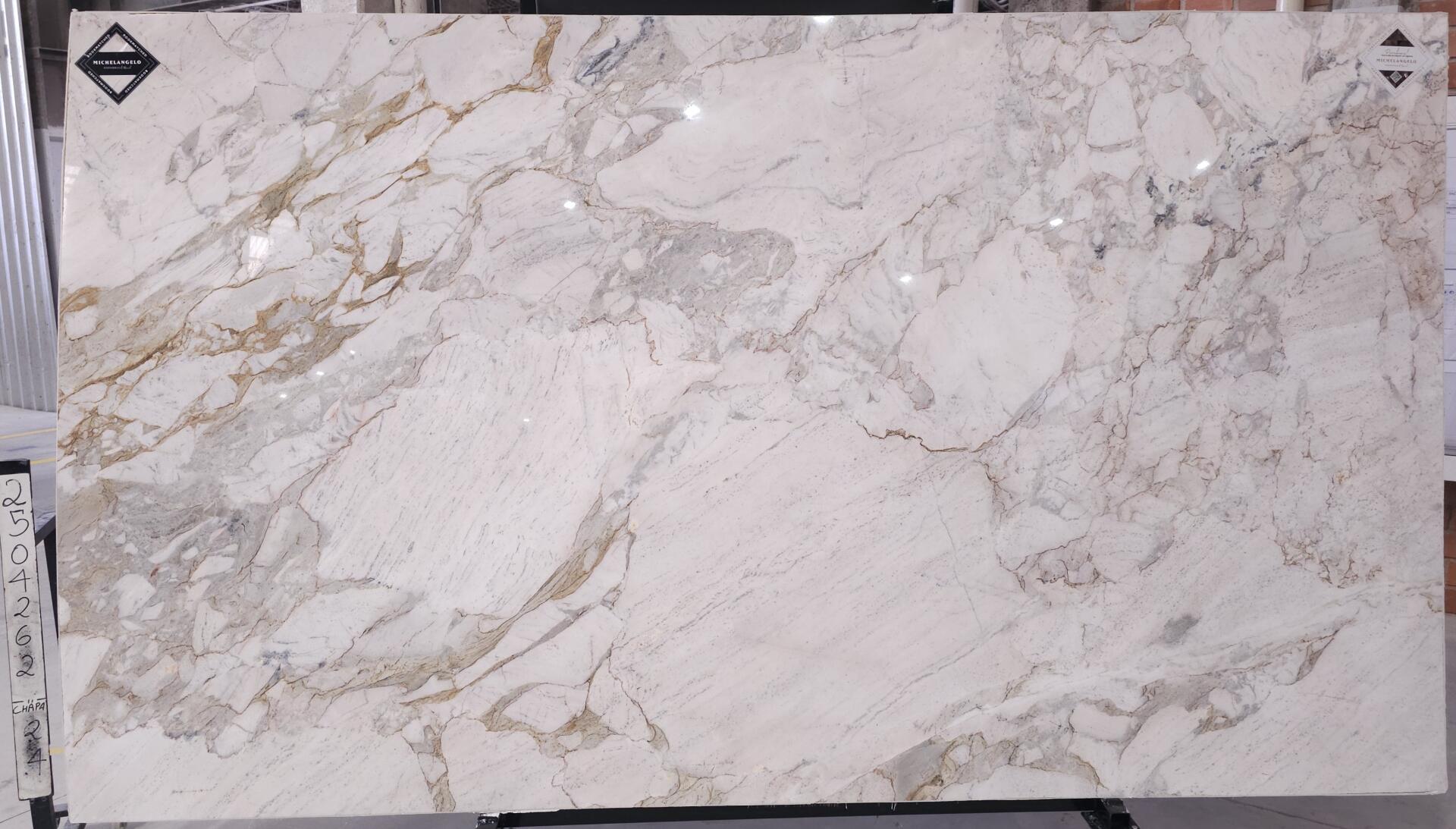 Calacatta Chiara Slab