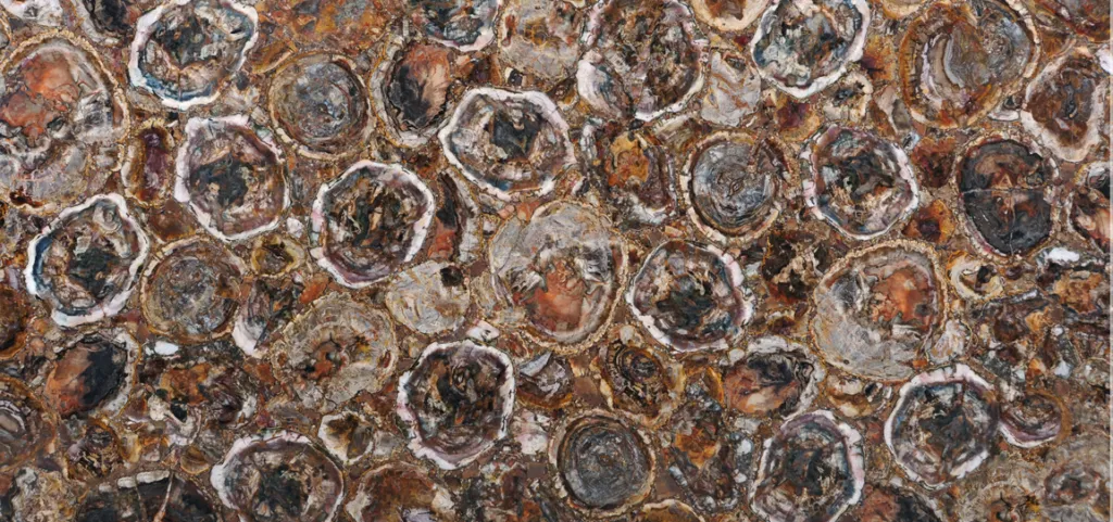Petrified Wood Multicolour