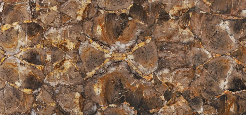 Petrified Wood Brown