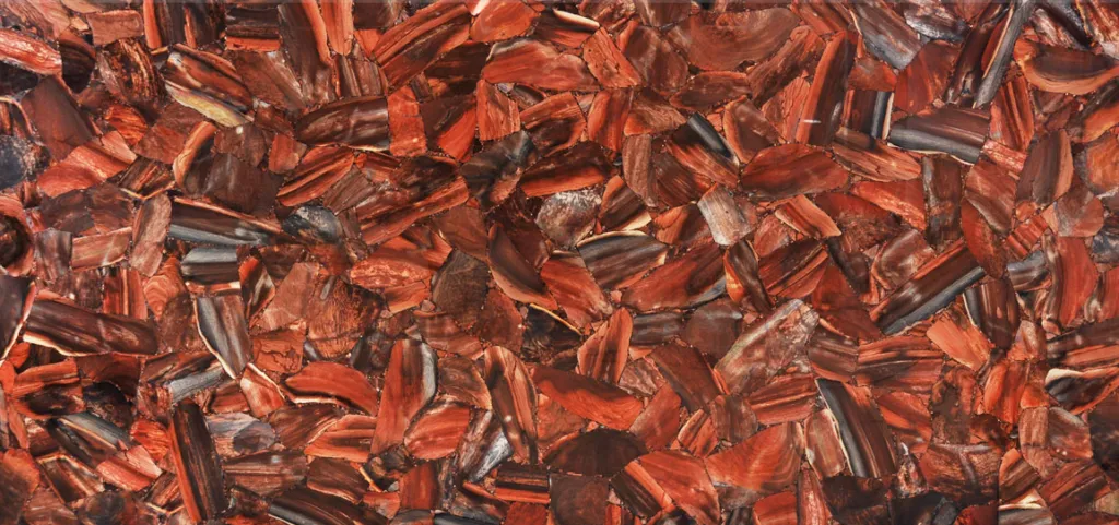 Jasper Palisandru