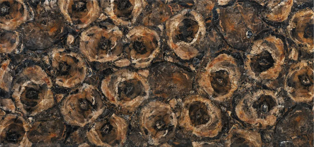 Petrified Wood Black