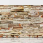 Petrified Wood Red