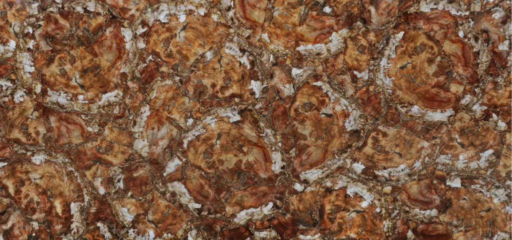 Petrified Wood Red