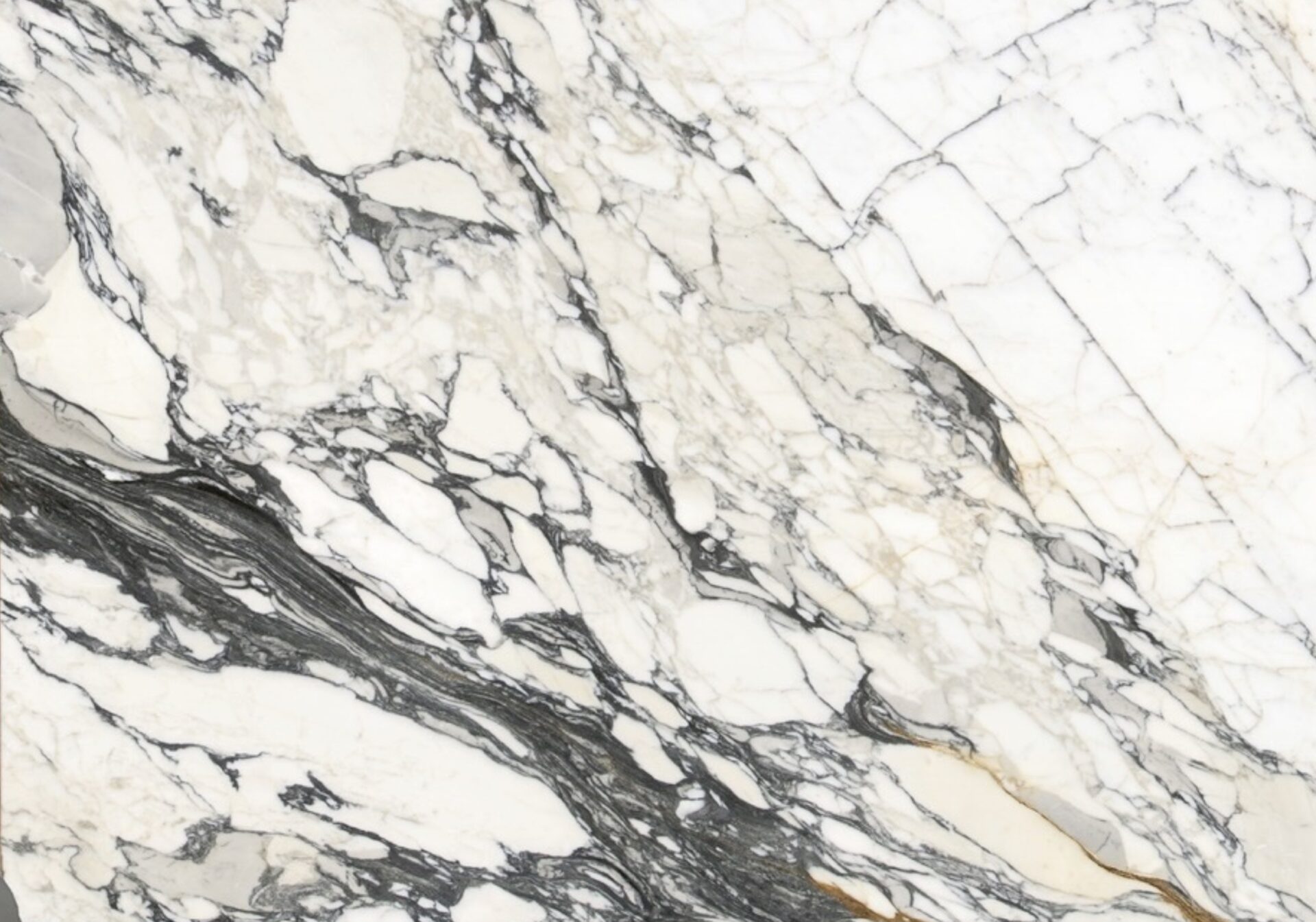 Paonazzo Corchia Slab