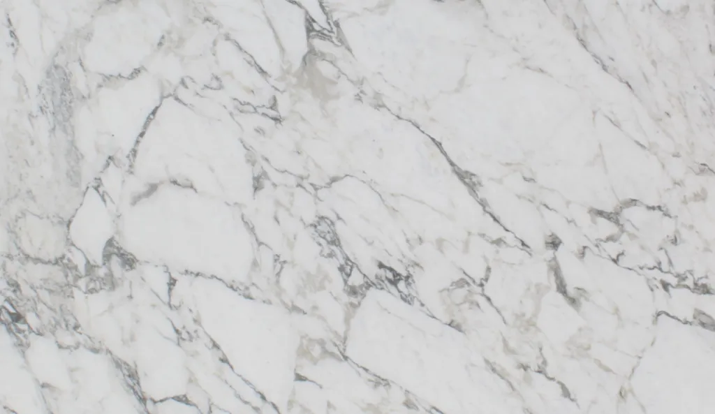 a closeup of Calacatta Arabescato Marble